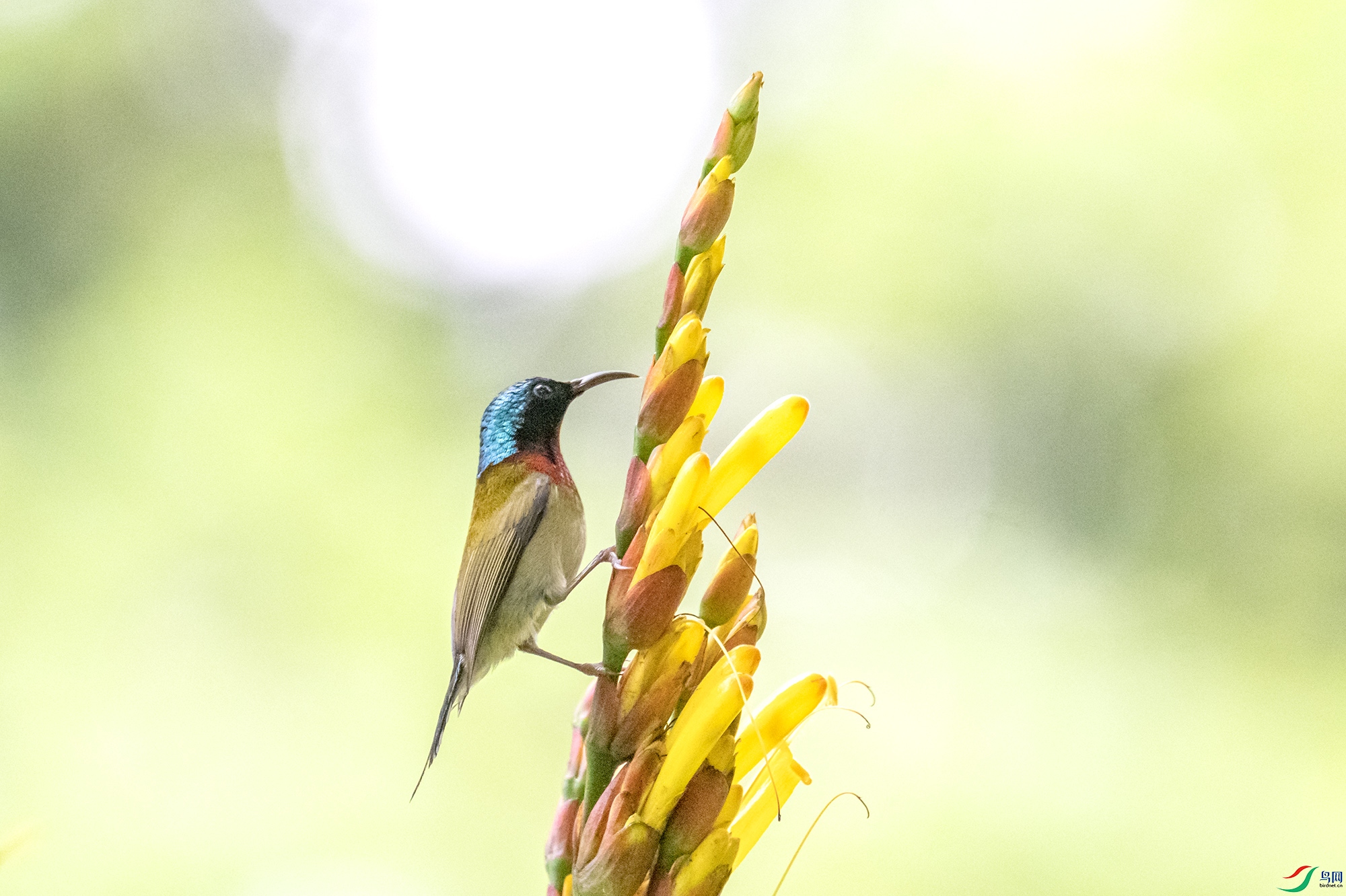 DSC_7639.jpg