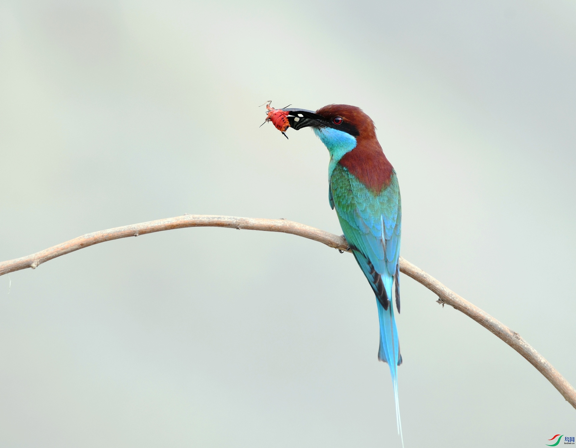 DSC_0568.jpg