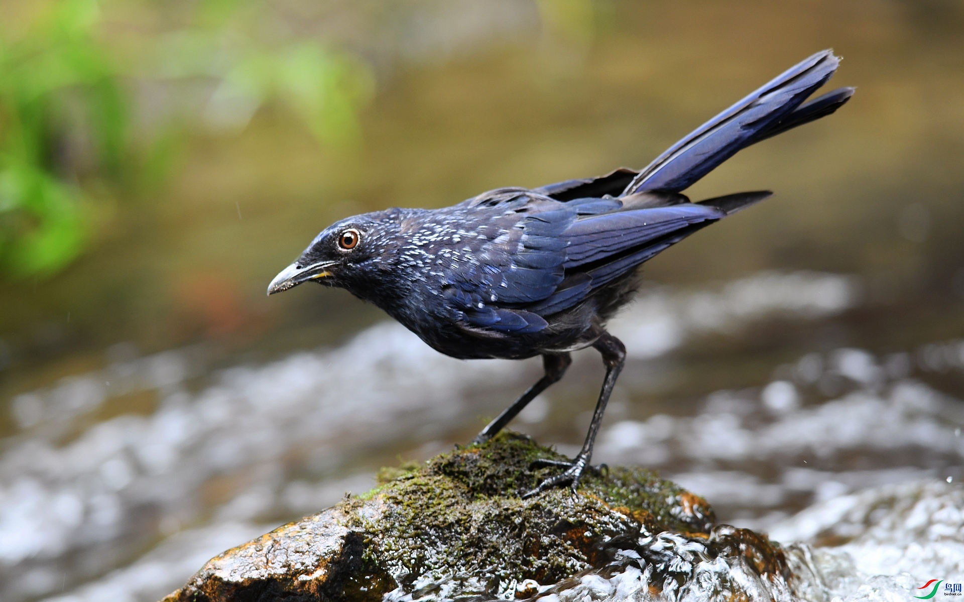 DSC_3691.jpg
