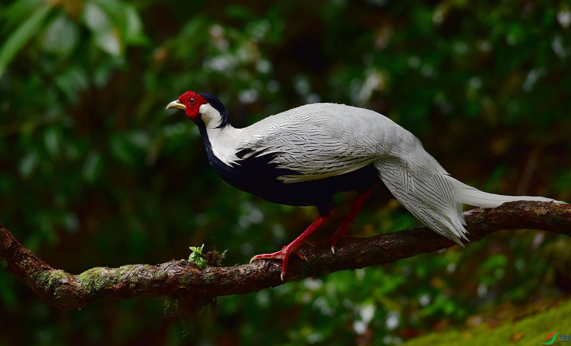 D8I_9454.jpg