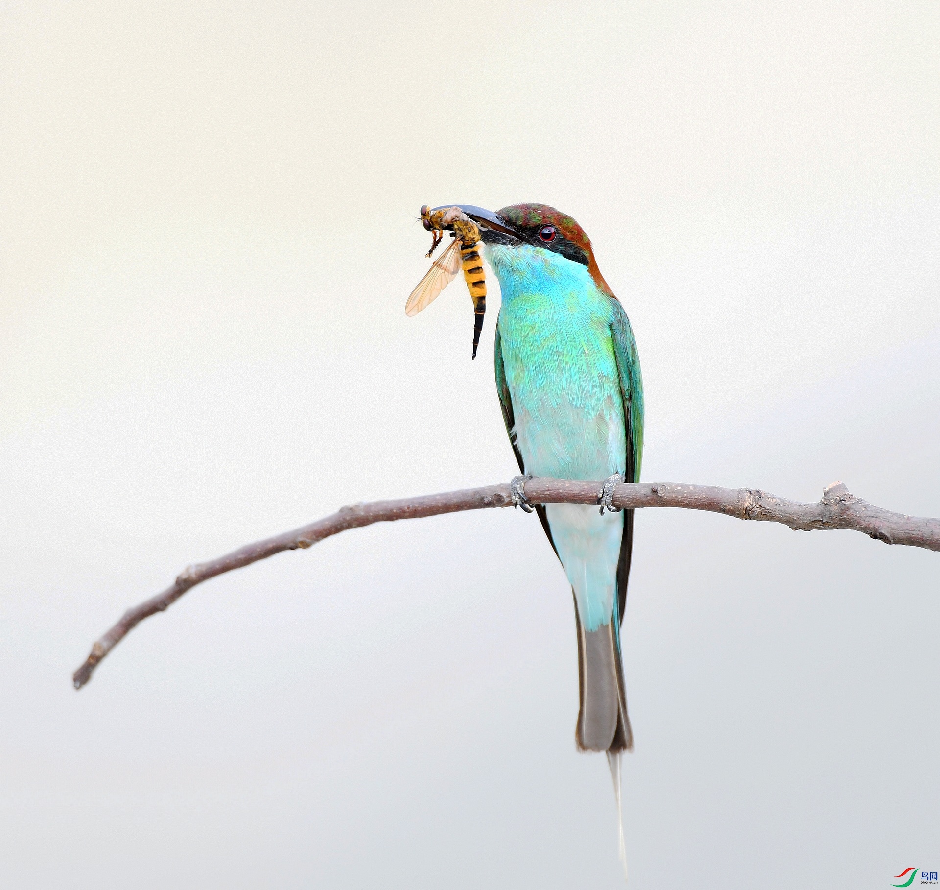 DSC_0533.jpg