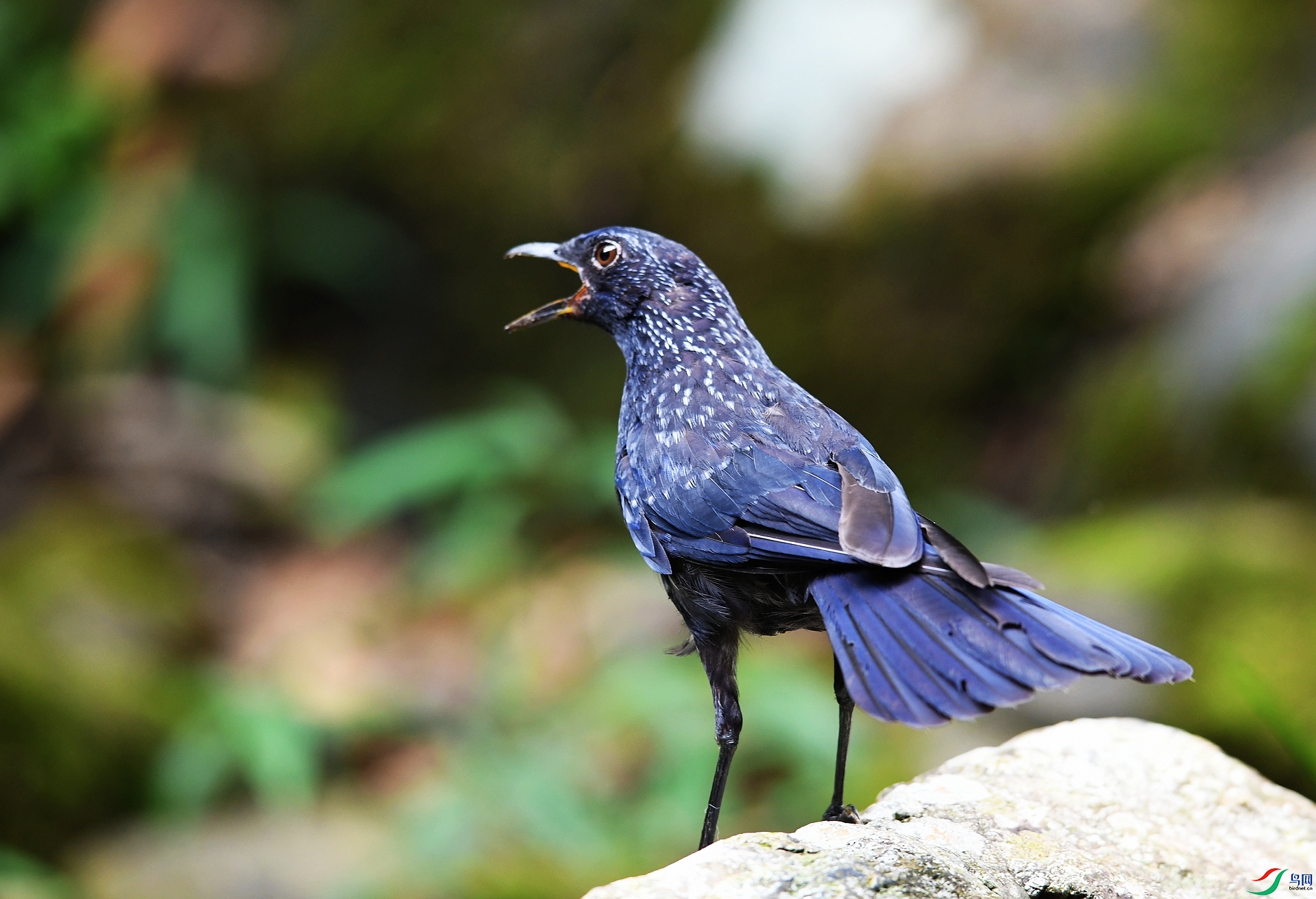 DSC_3650.jpg