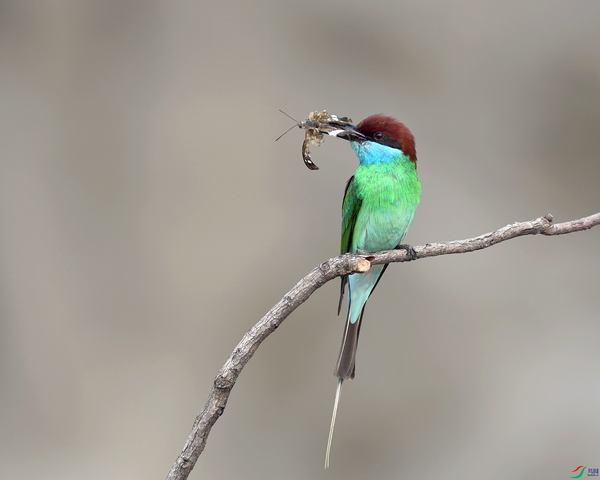 DSC_2281.jpg