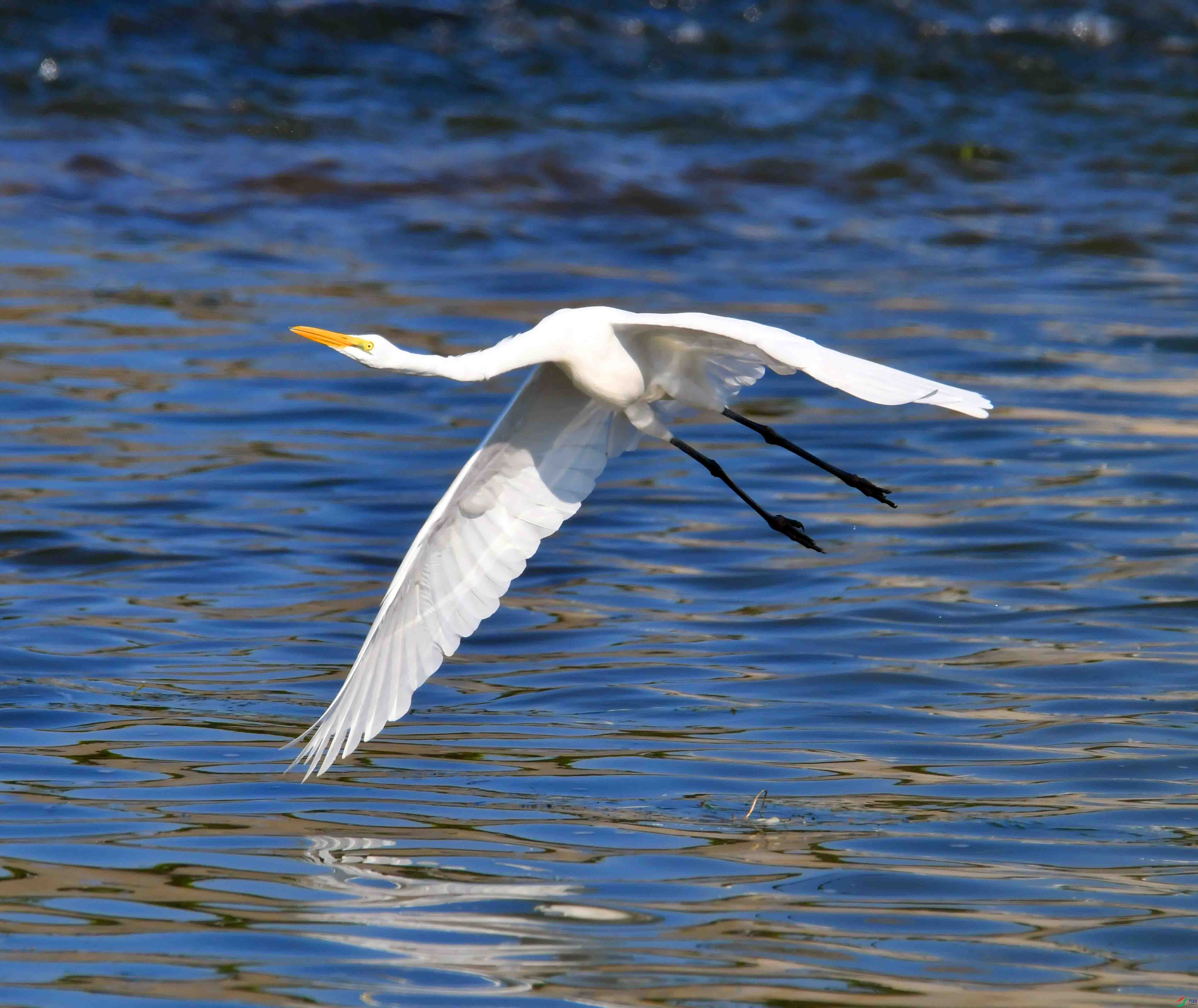 DSC_3983.JPG