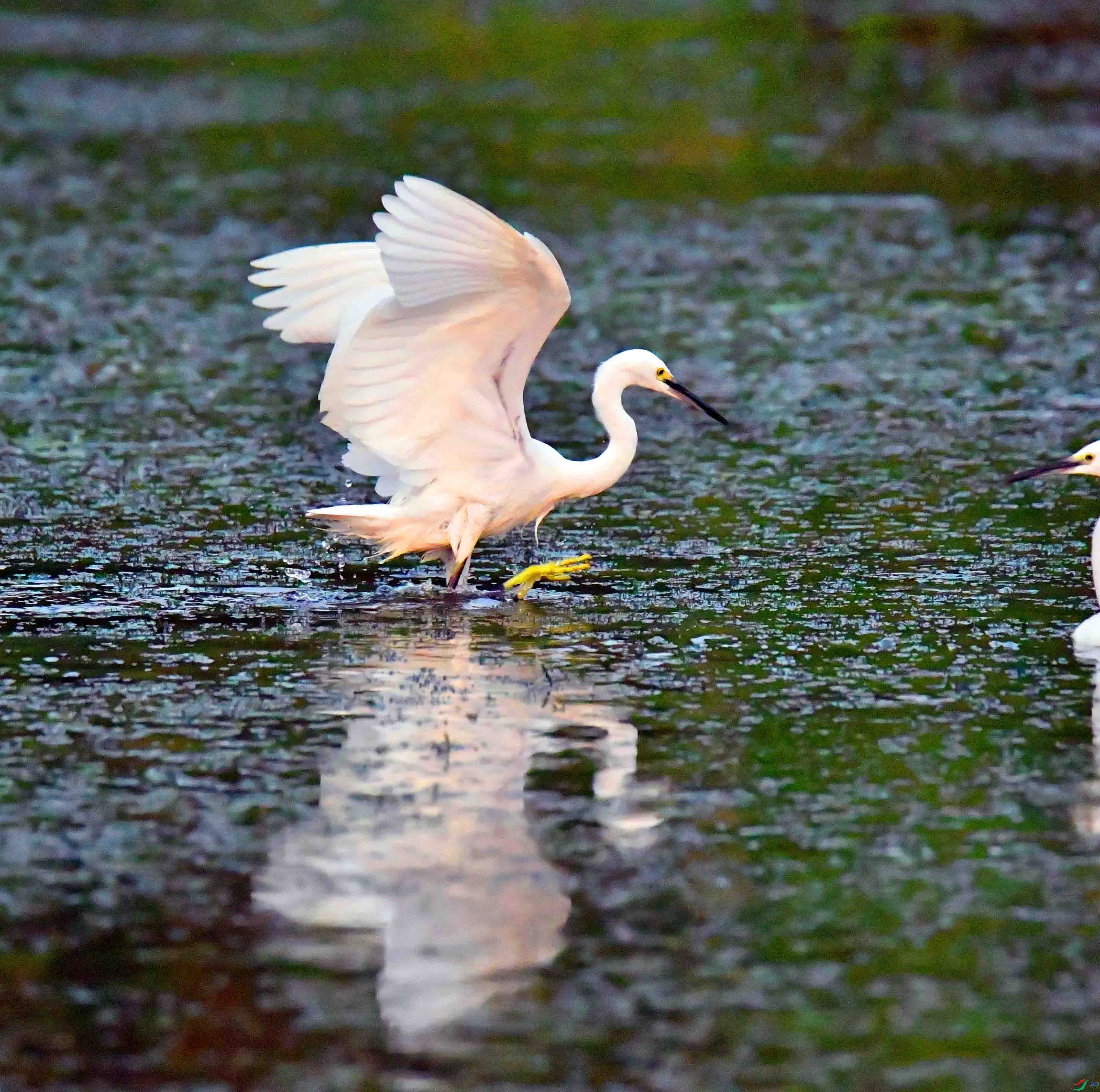DSC_6513.JPG