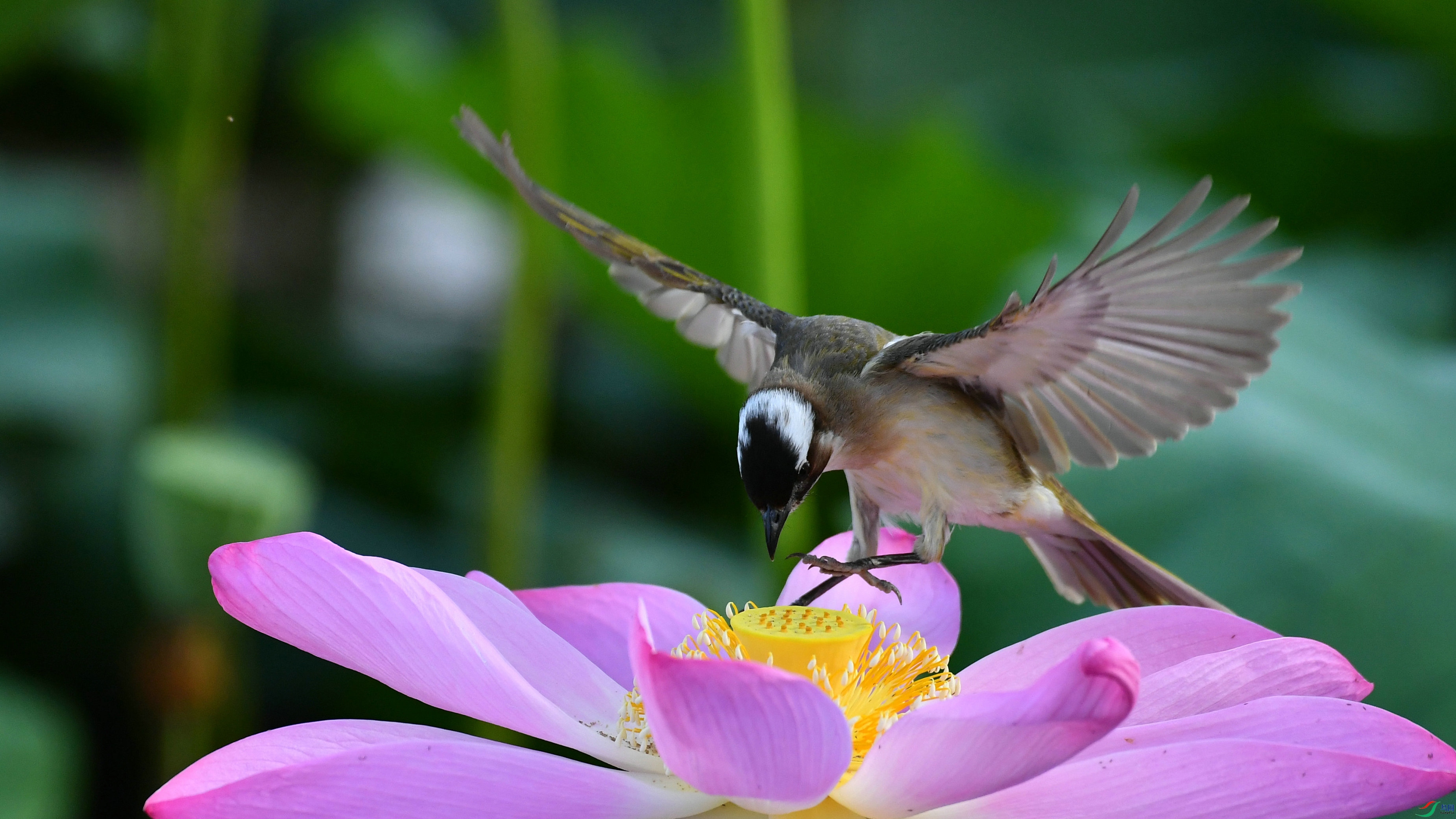 DSC_1278.JPG