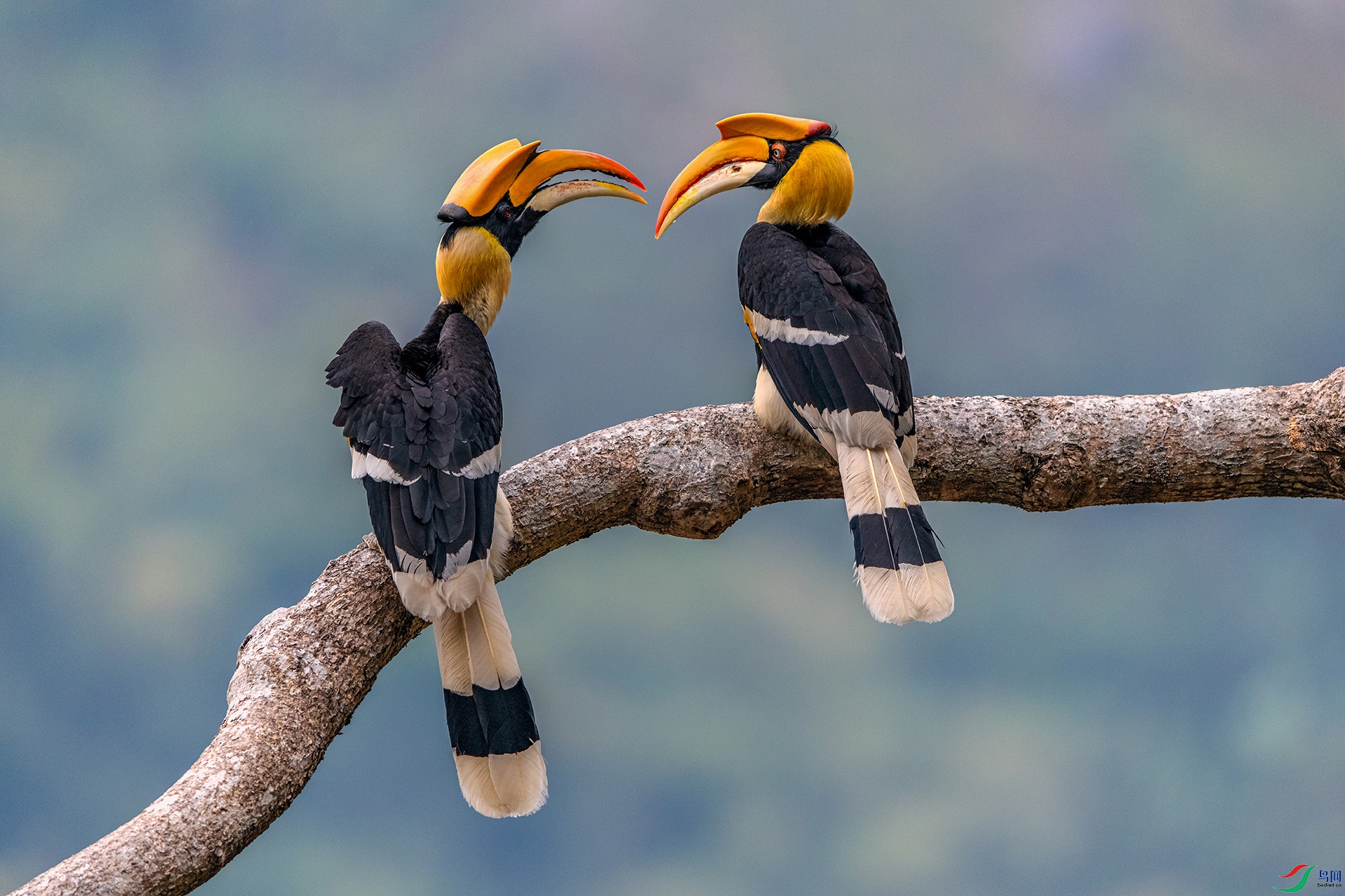 _AUU8049�е㲻��(24.2.21).jpg