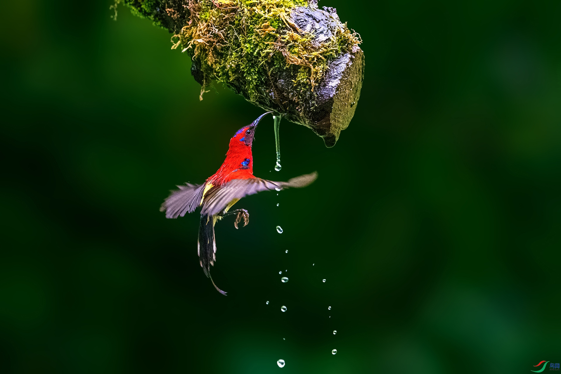 _AUU0205 ����ɽȪ(26.6.13).jpg