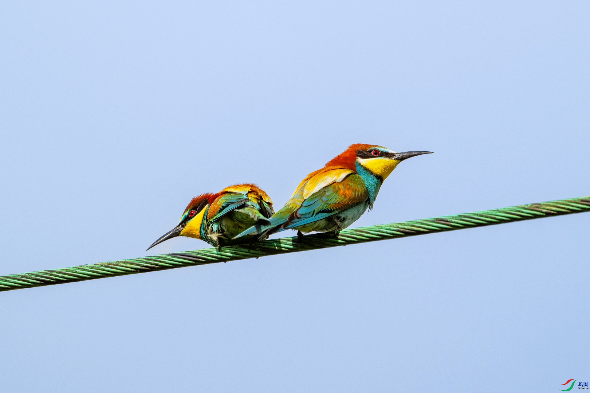 DSC_7240.jpg