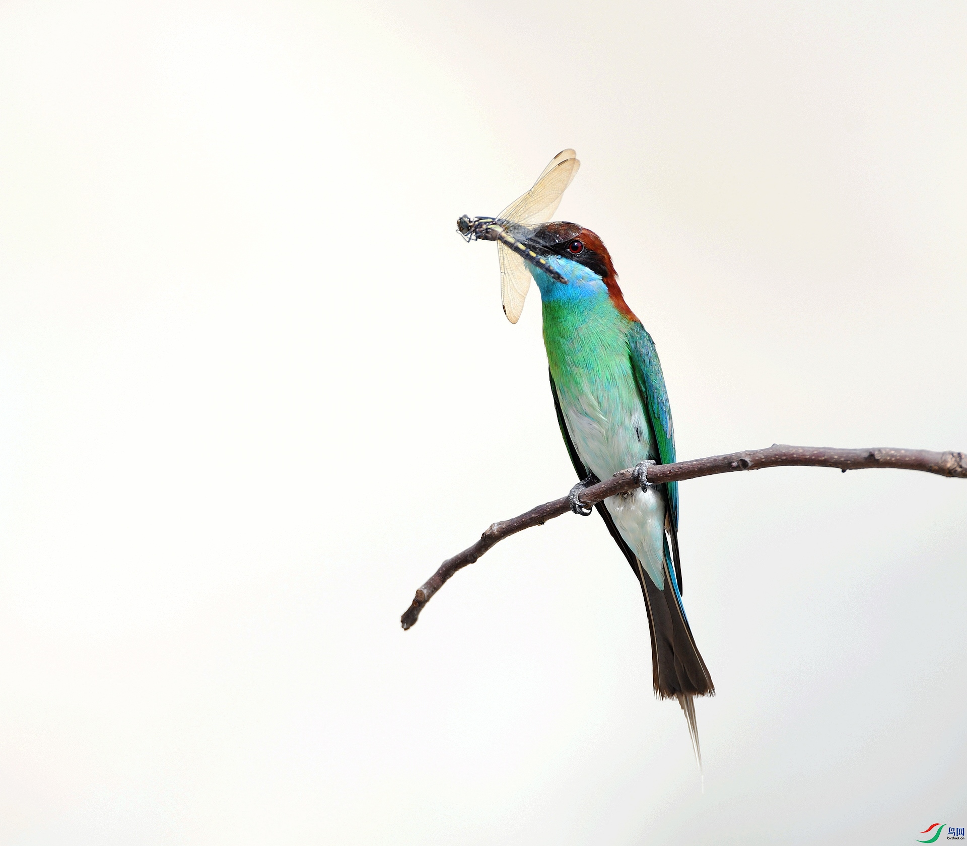 DSC_0995.jpg
