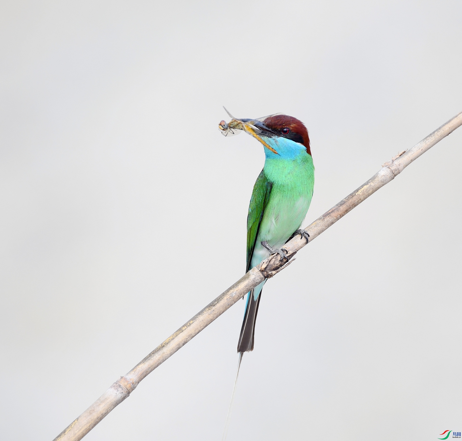 DSC_0632.jpg