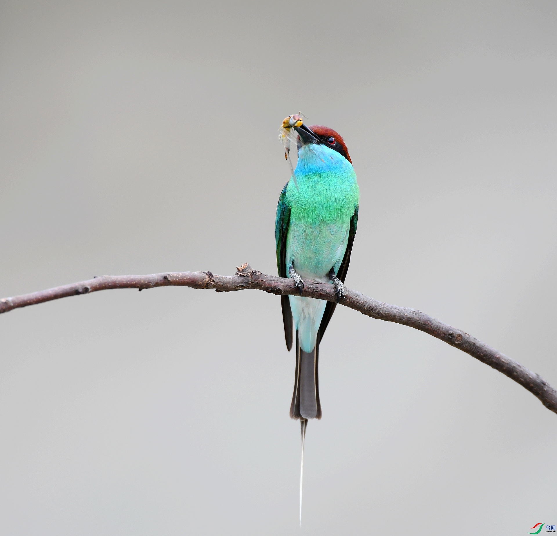 DSC_0559.jpg