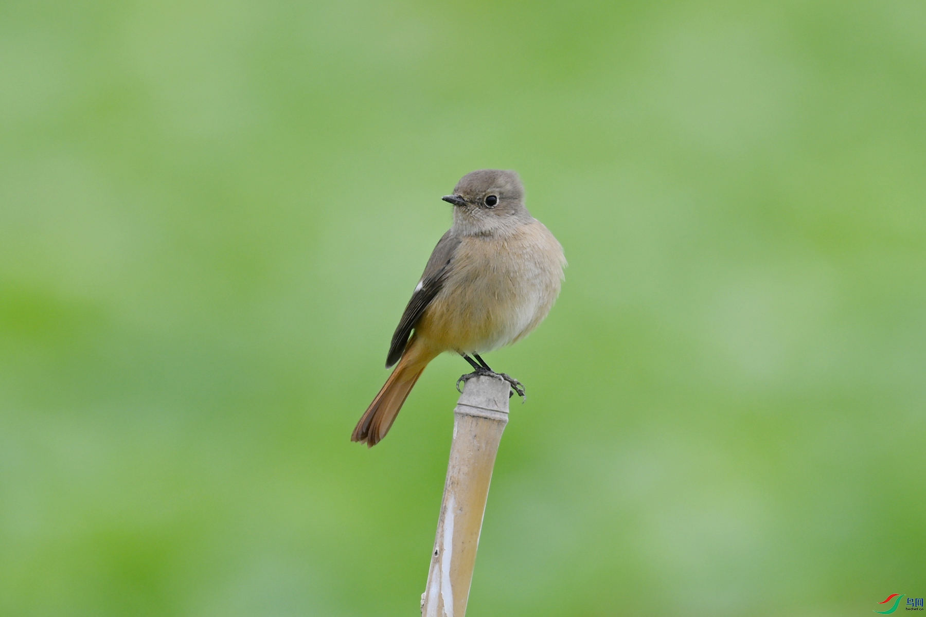 DSC_5338.JPG