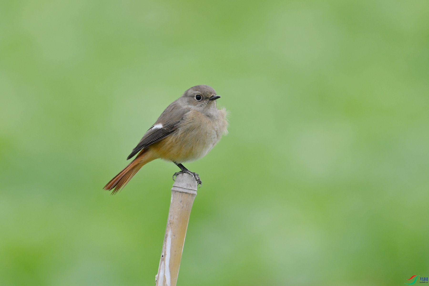 DSC_5341.JPG