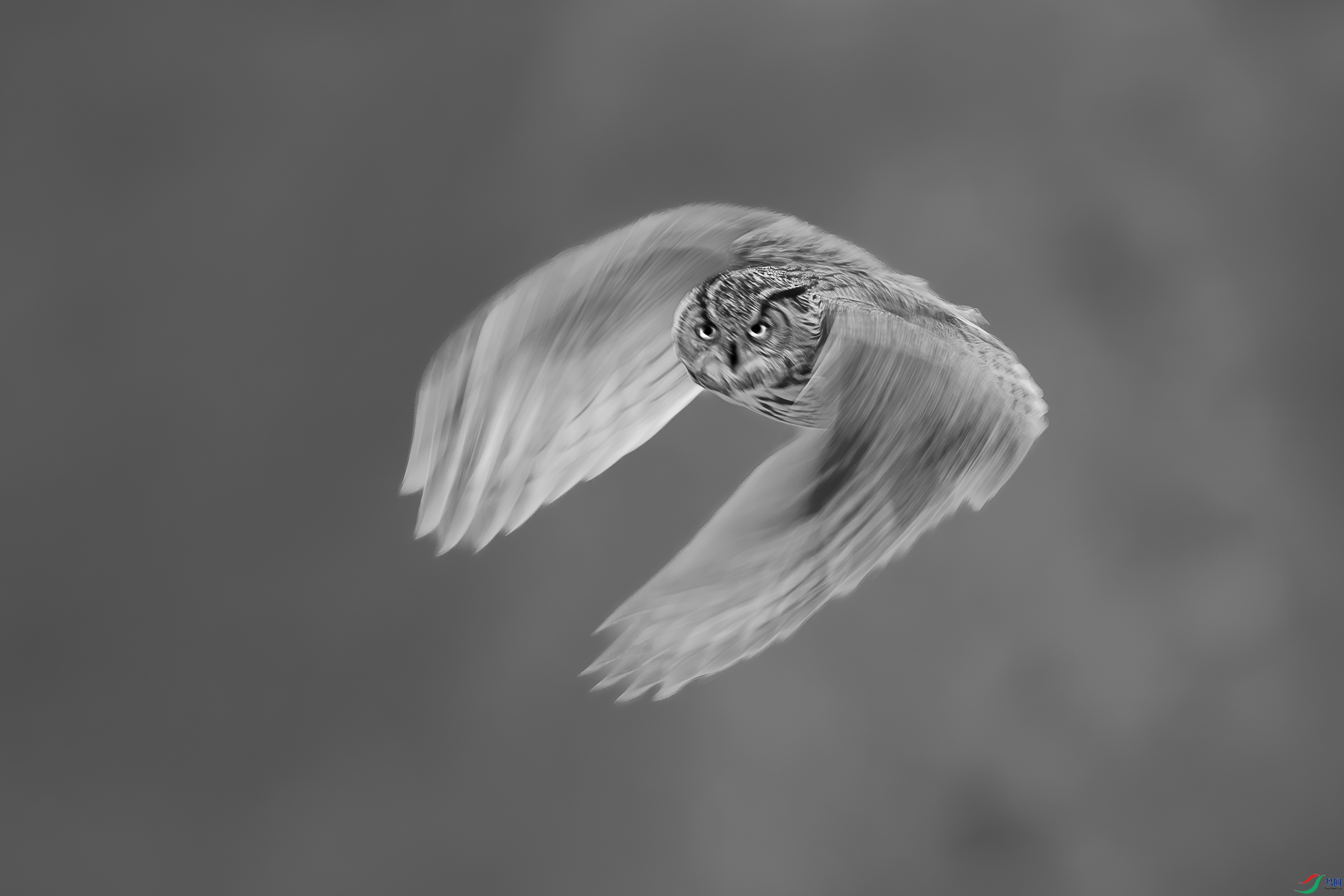 C8658.jpg