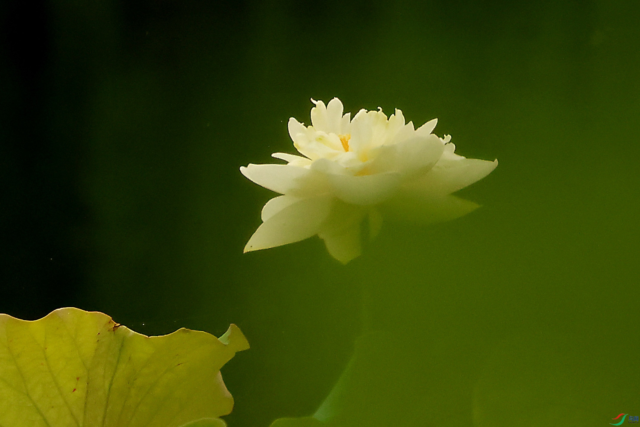 2G9A4814.JPG