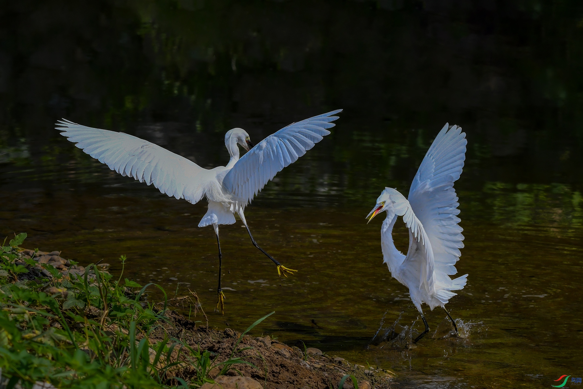 DSC_4834_��ͼ�� ����.jpg