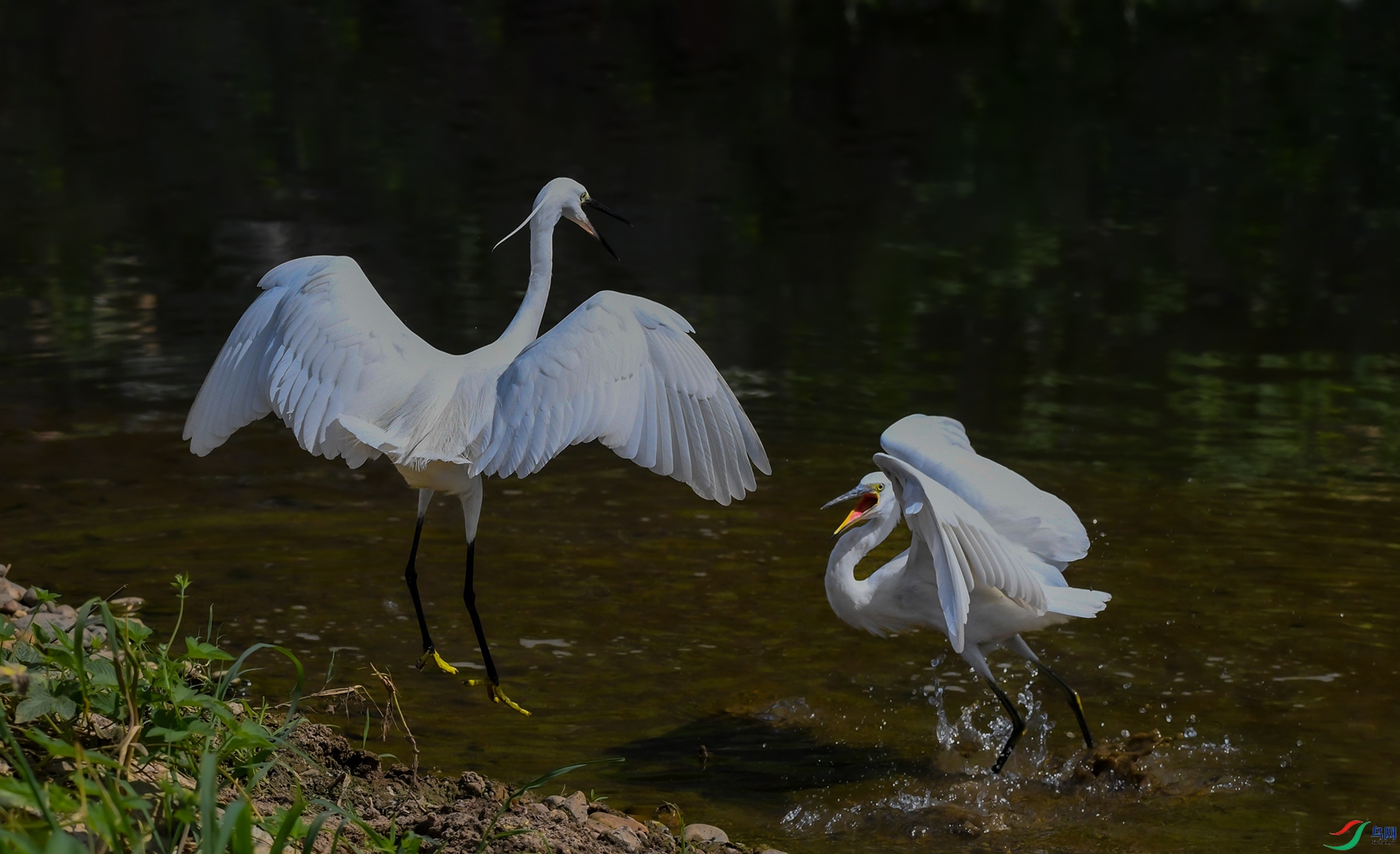 DSC_4836_��ͼ�� ����.jpg