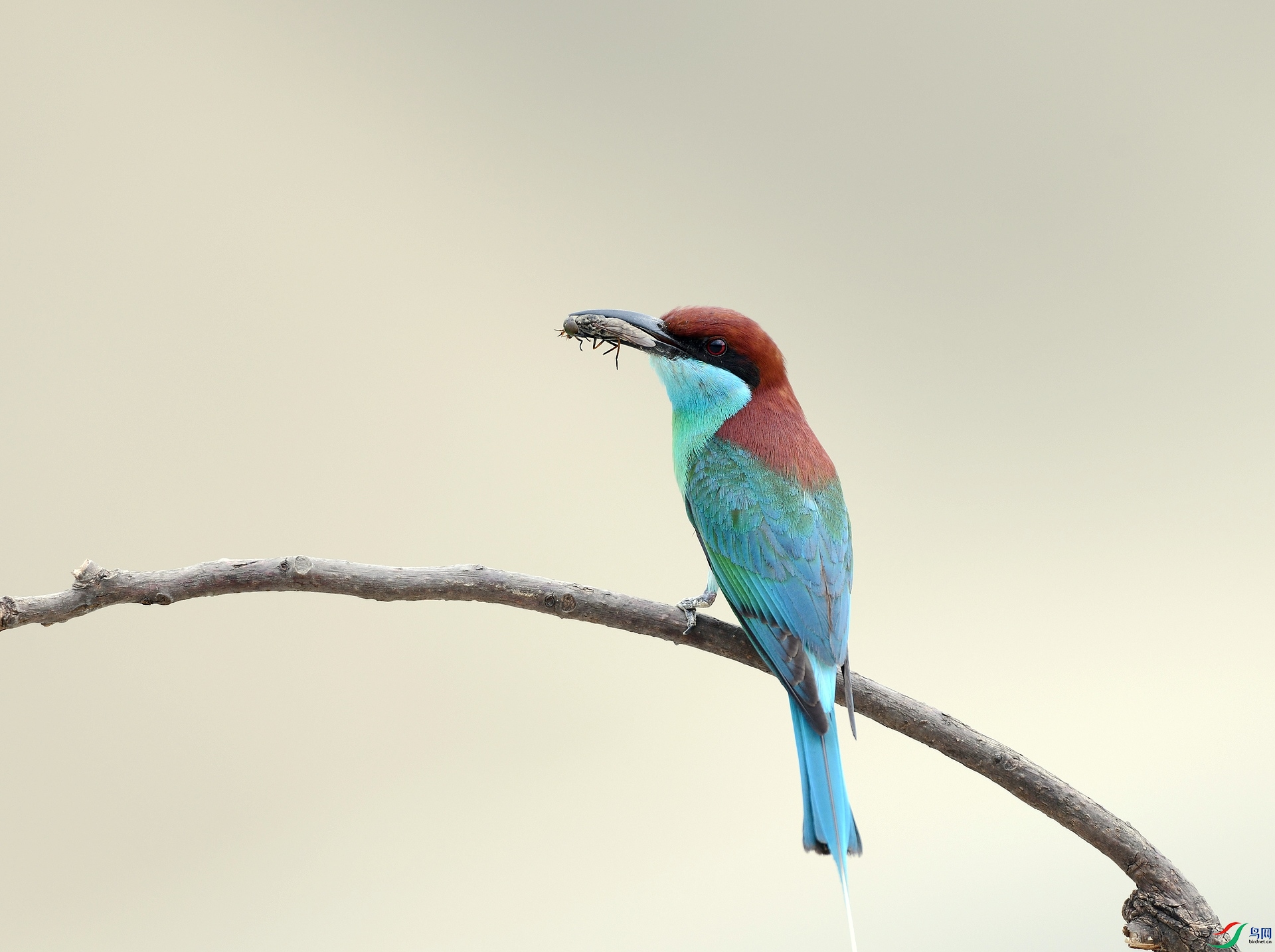 DSC_0265.jpg