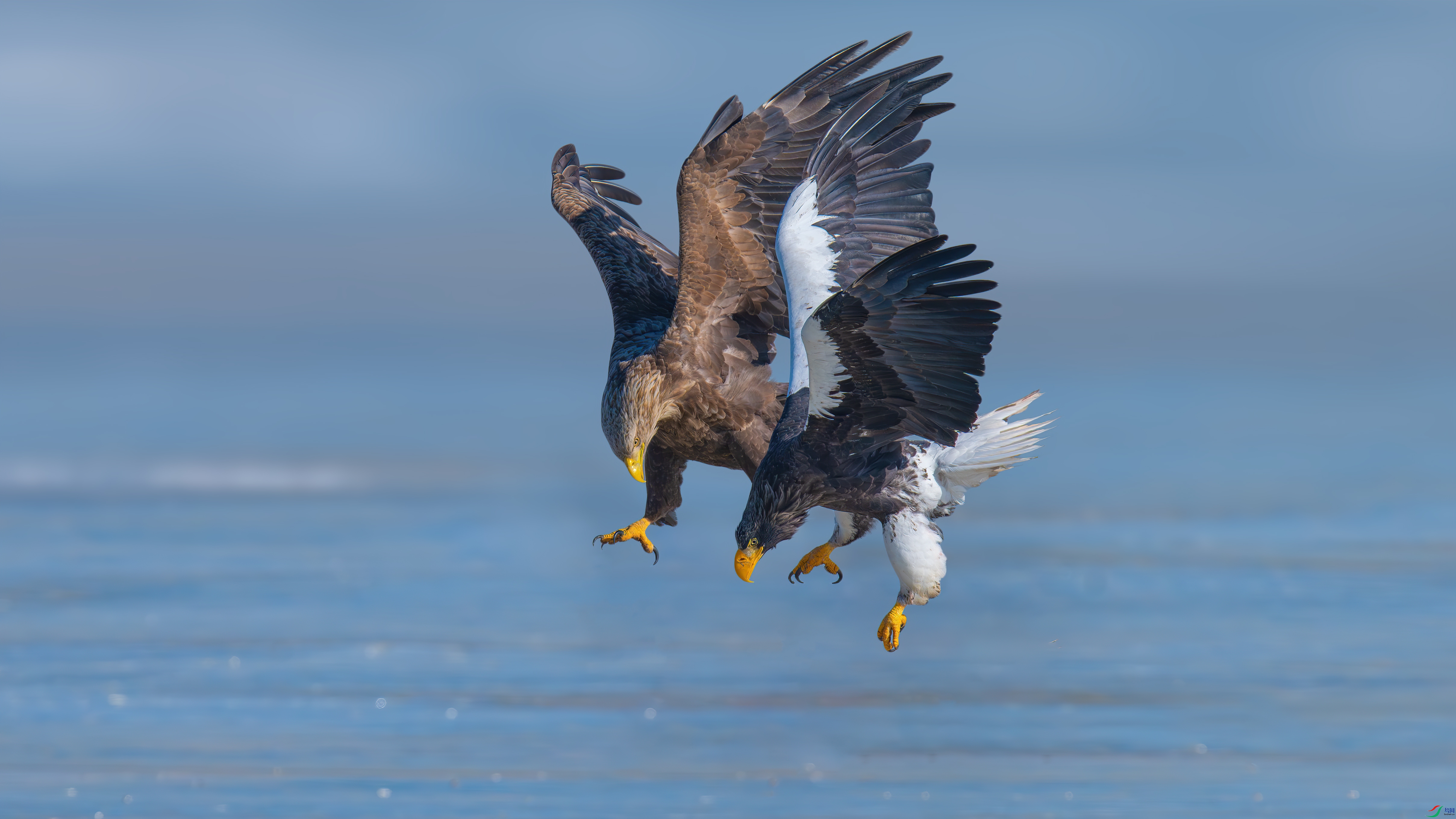 DSC_7874-����ǿ-NR_����.jpg