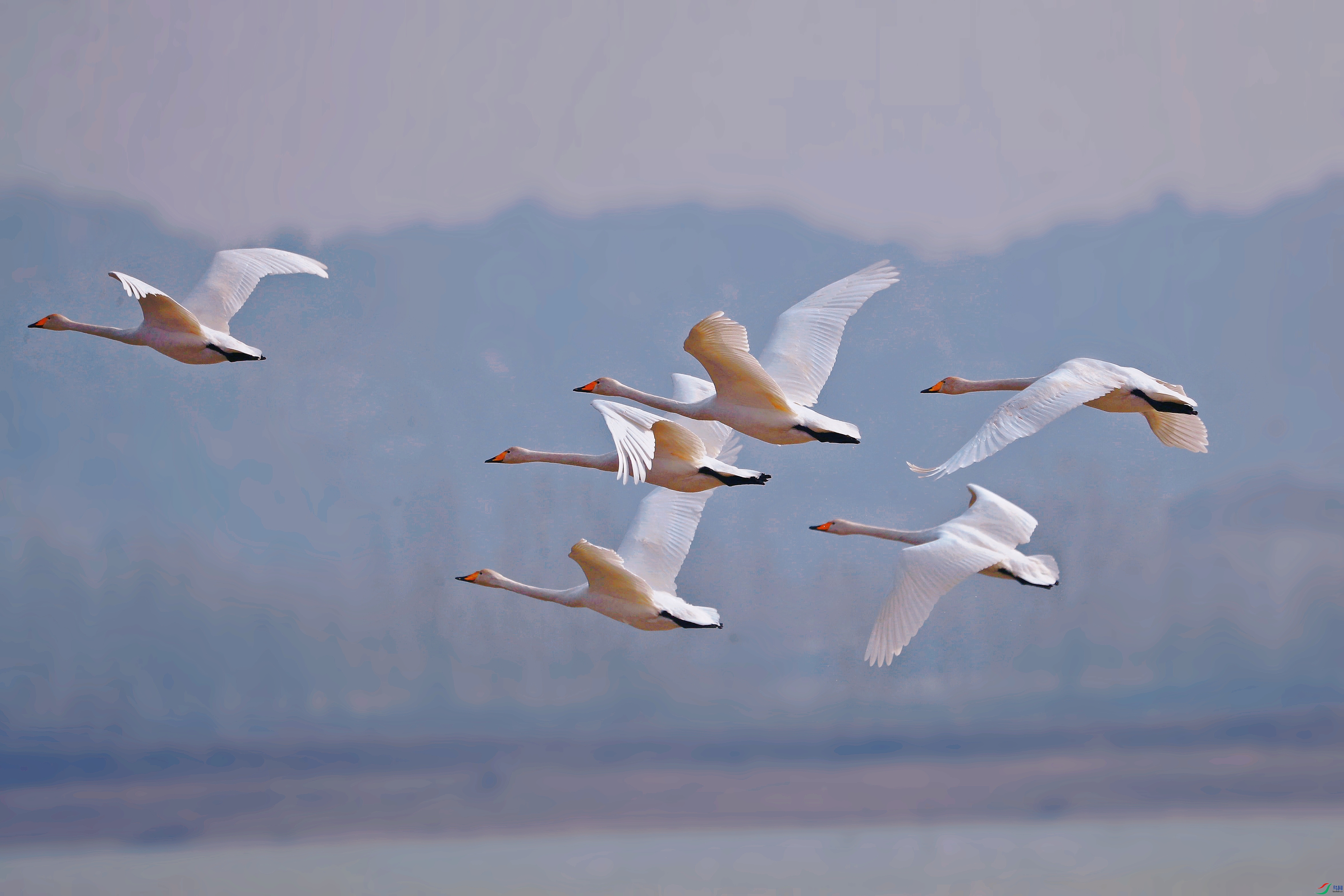 AS8I8029_����.jpg