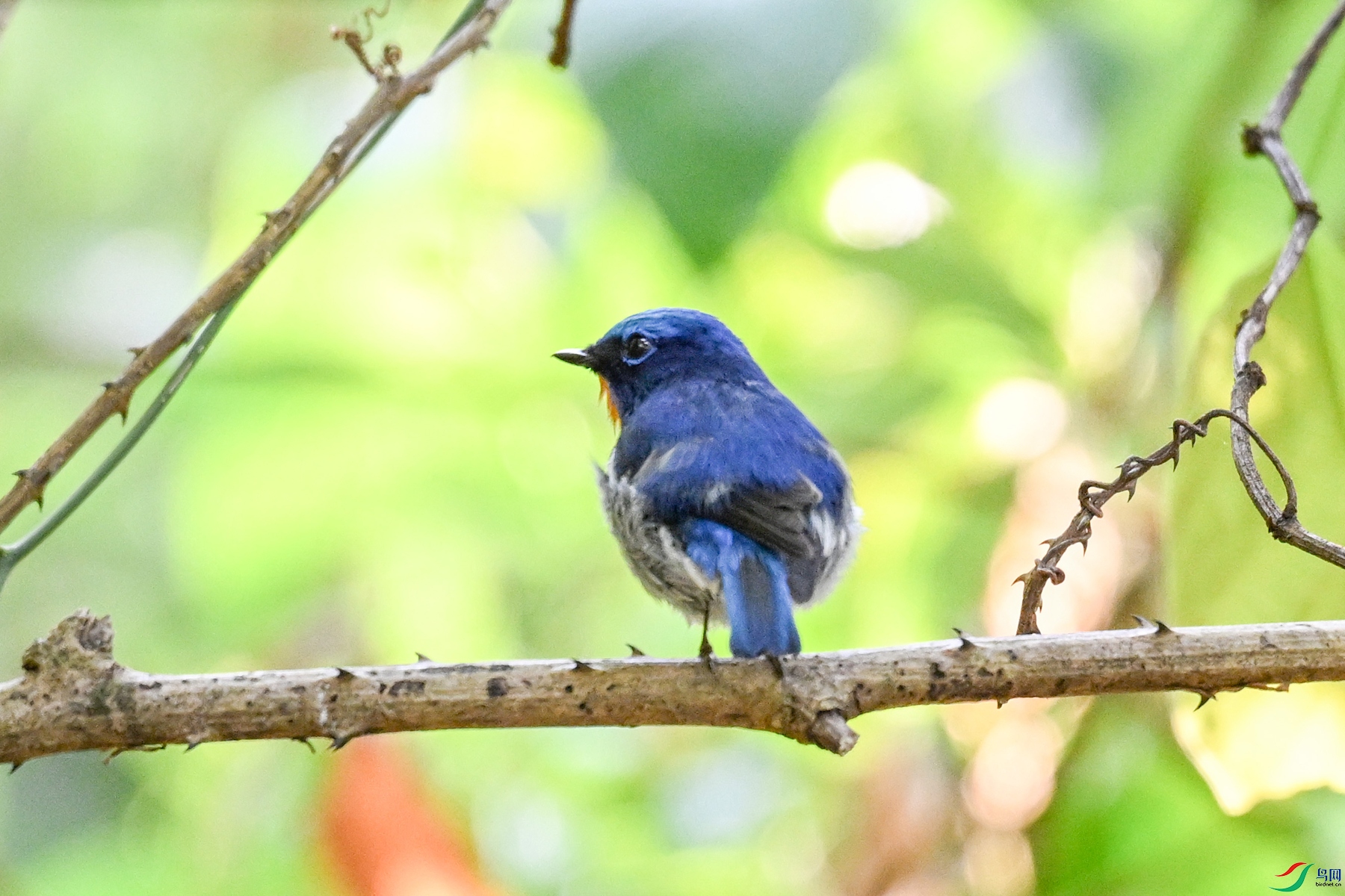 DSC_5589.JPG
