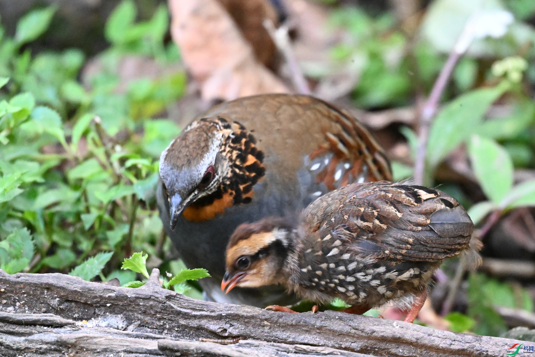 DSC_5614.JPG
