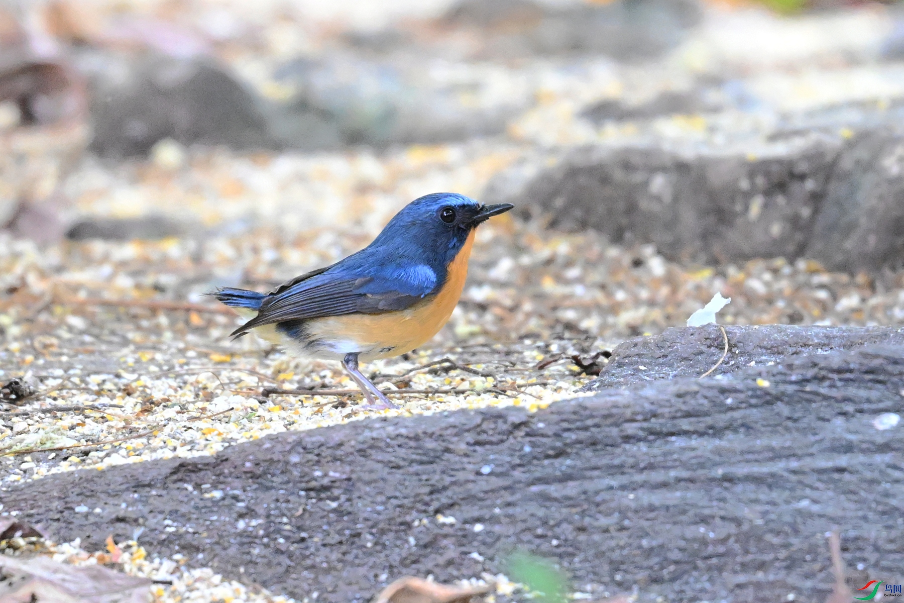 DSC_5635.JPG