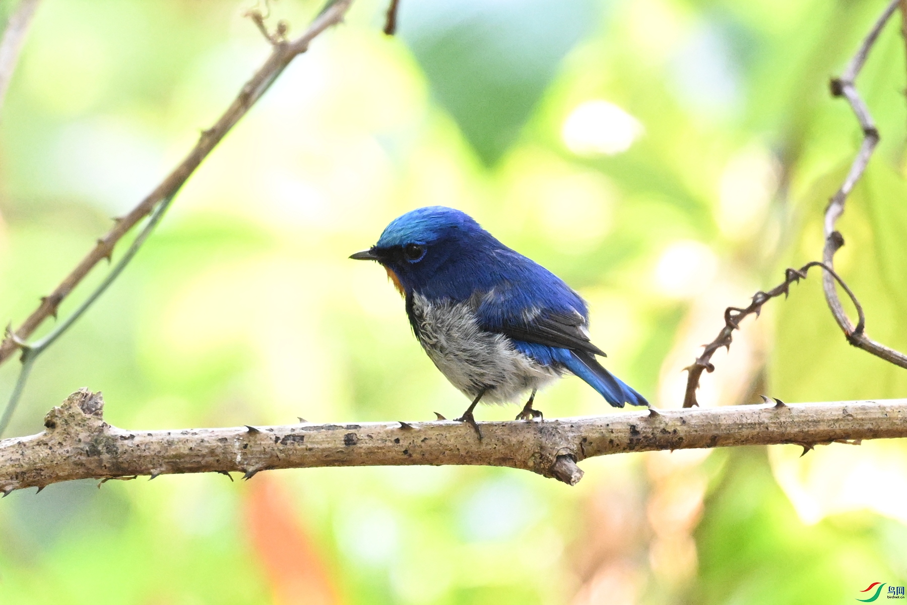 DSC_5592.JPG
