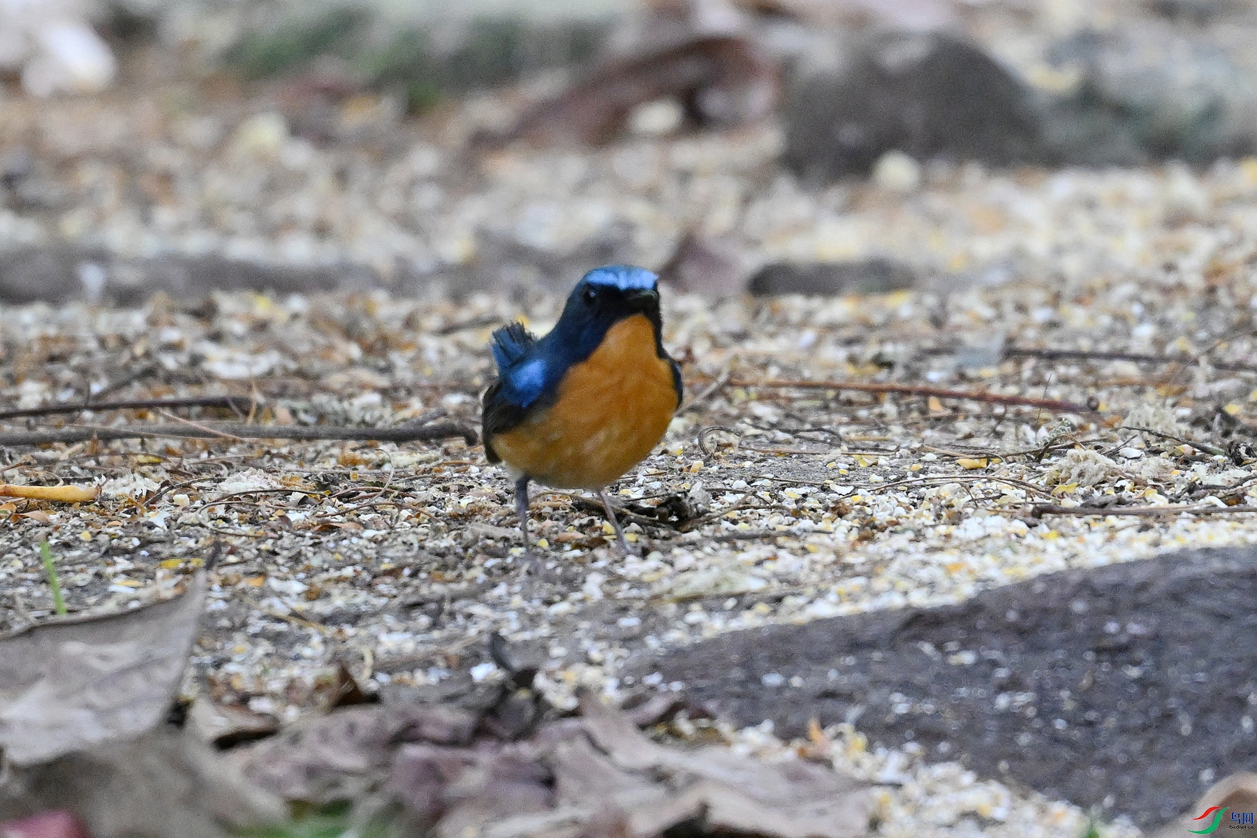 DSC_5632.JPG