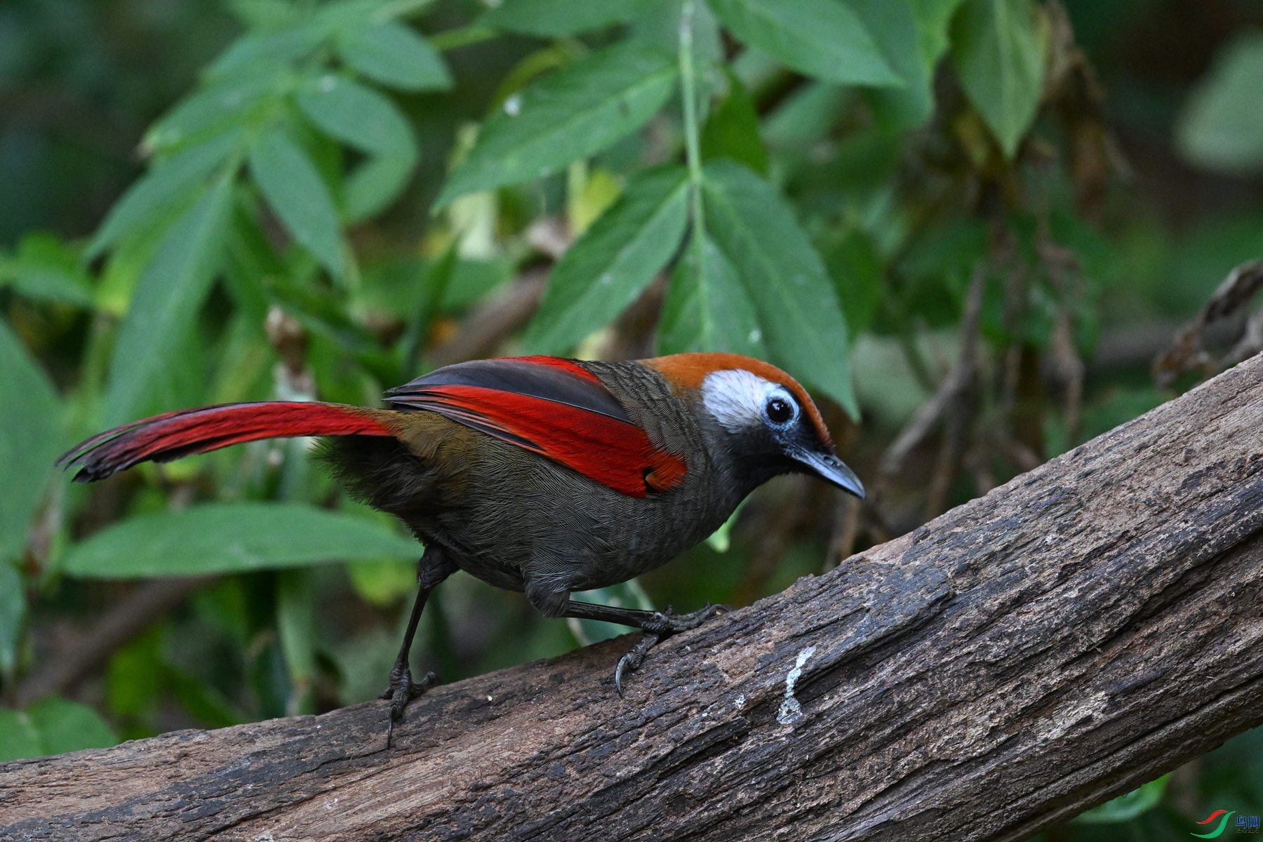 DSC_5672.JPG