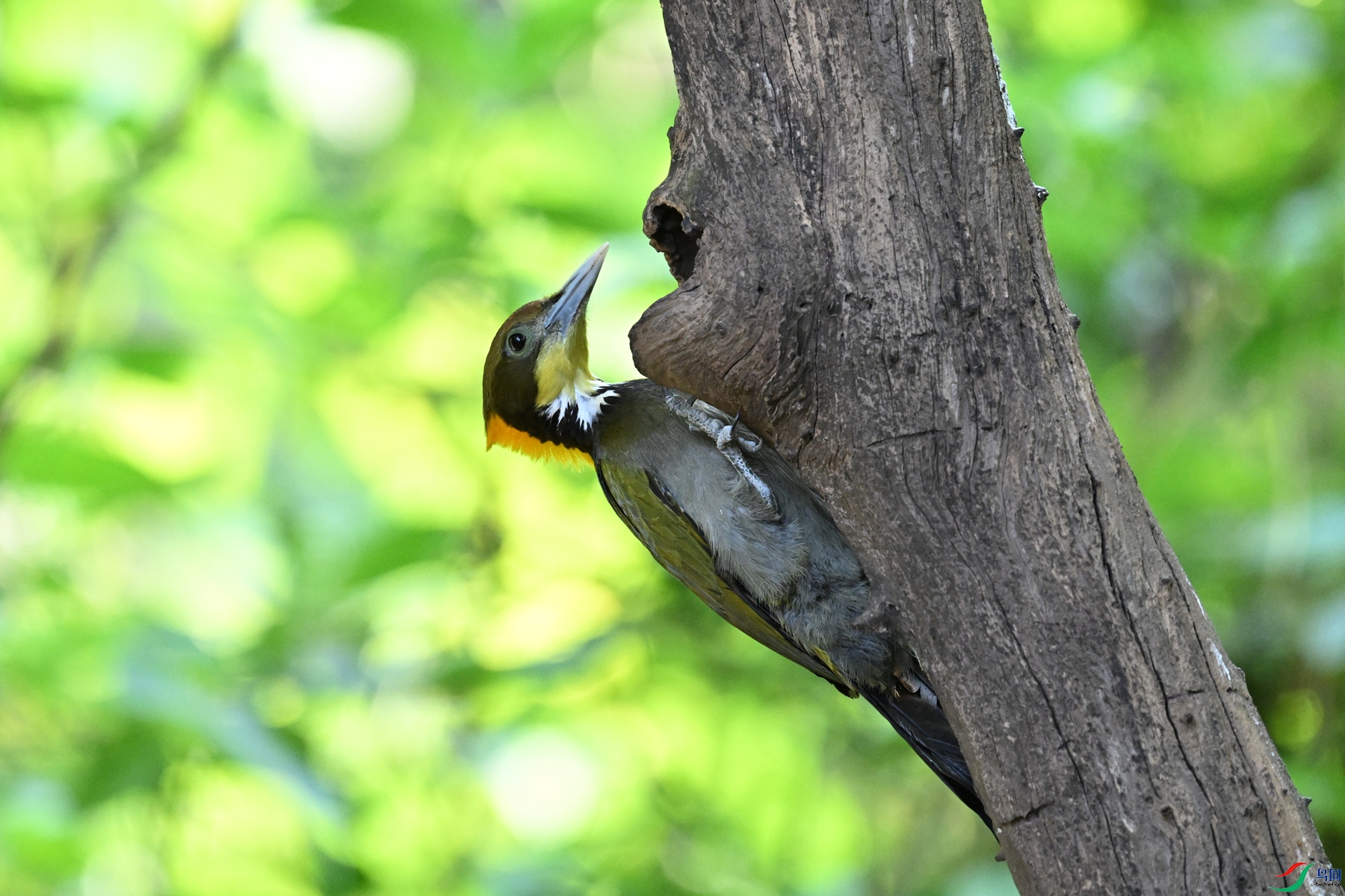 DSC_5599.JPG