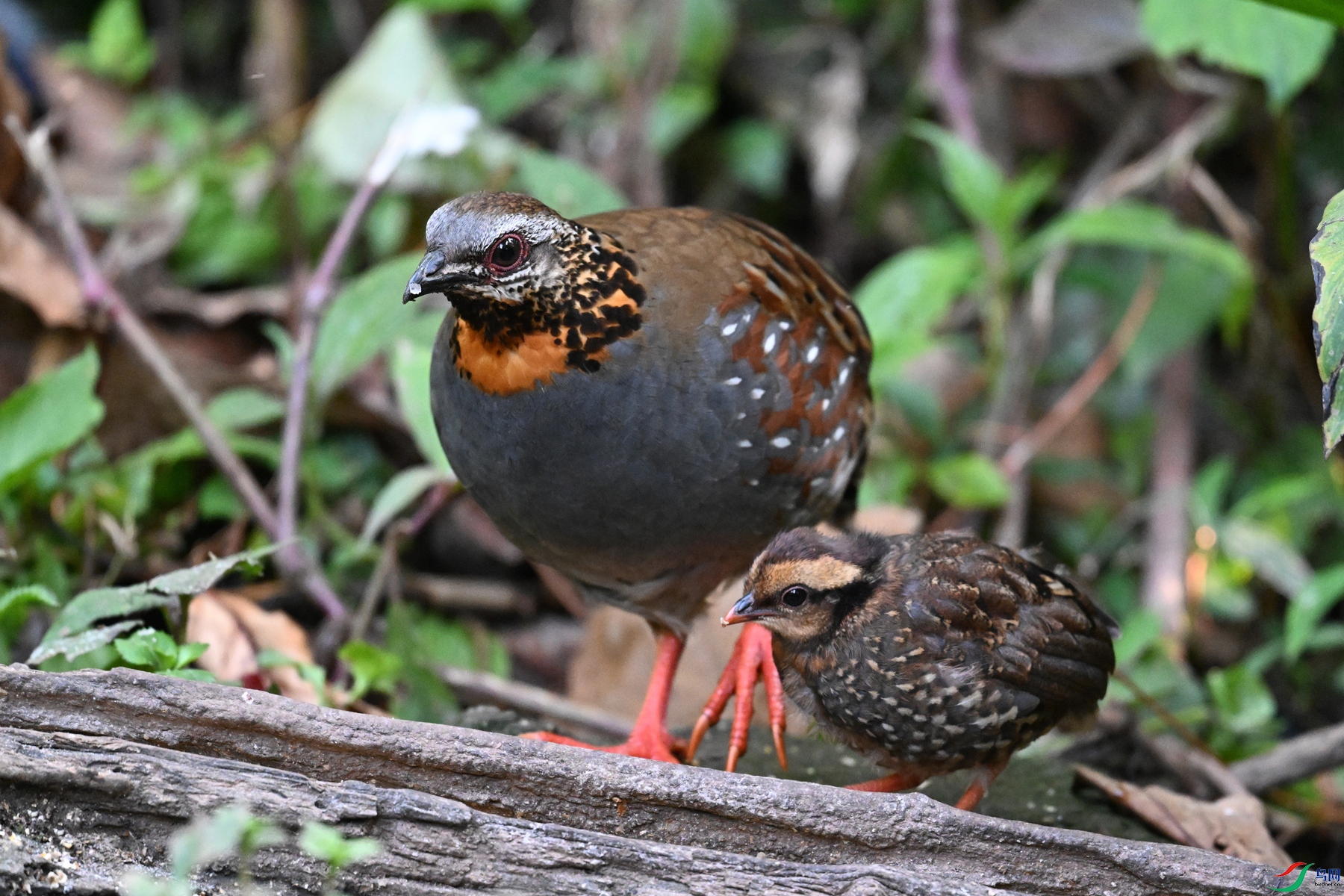 DSC_5607.JPG