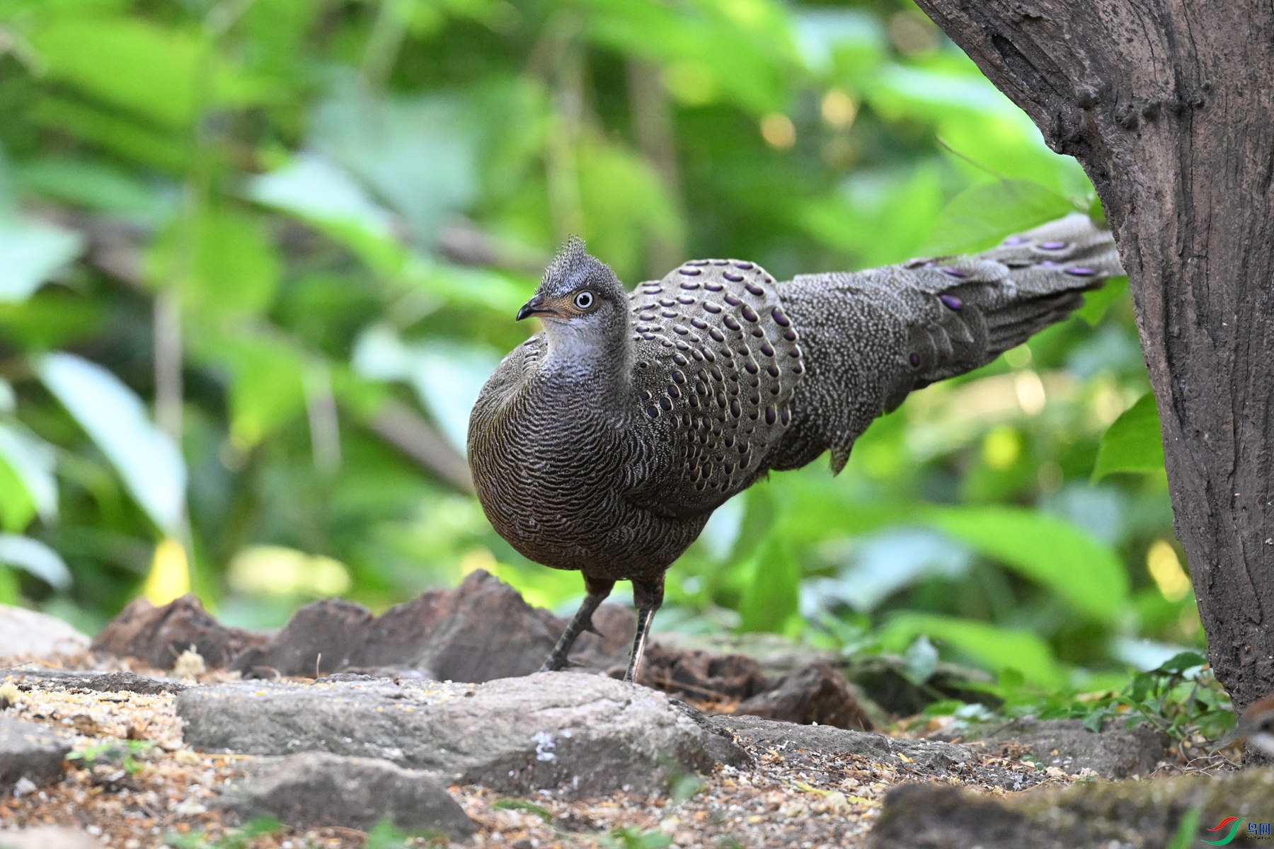 DSC_5631.JPG