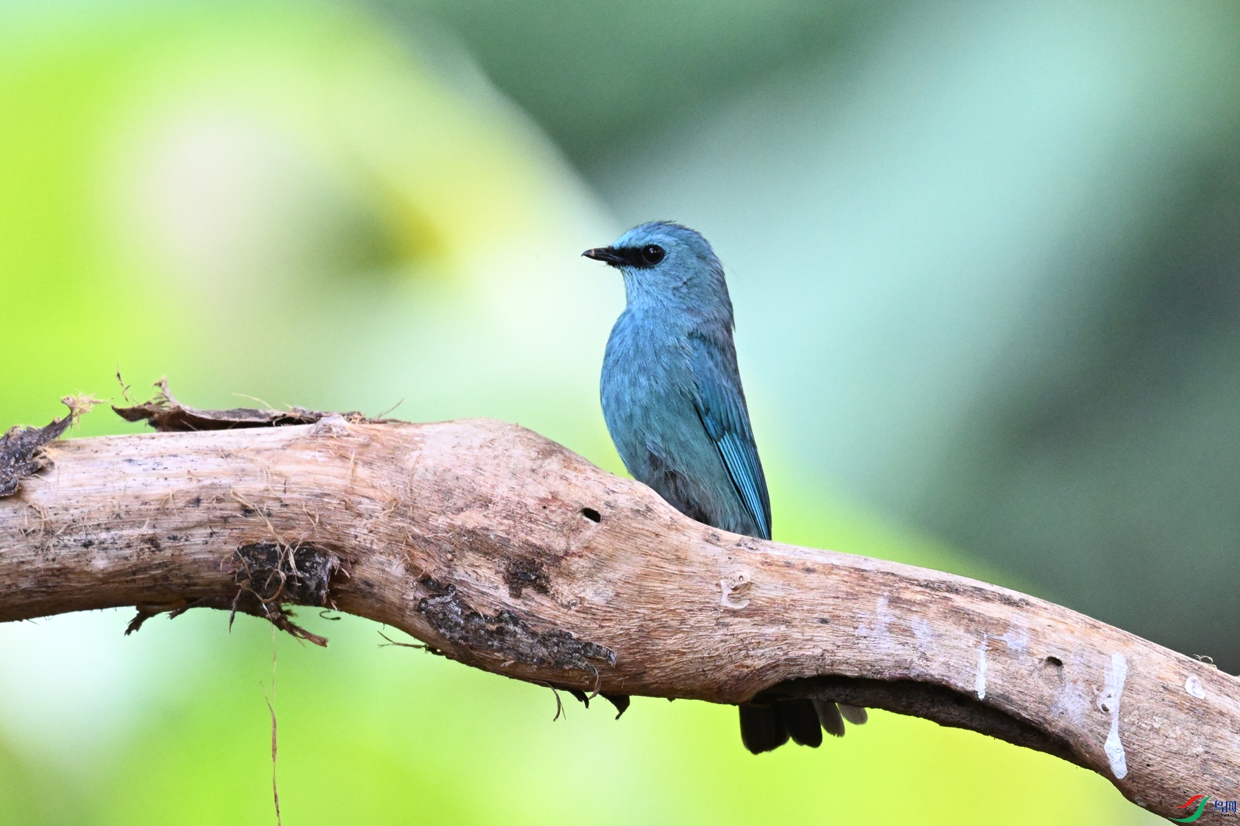 DSC_5678.JPG