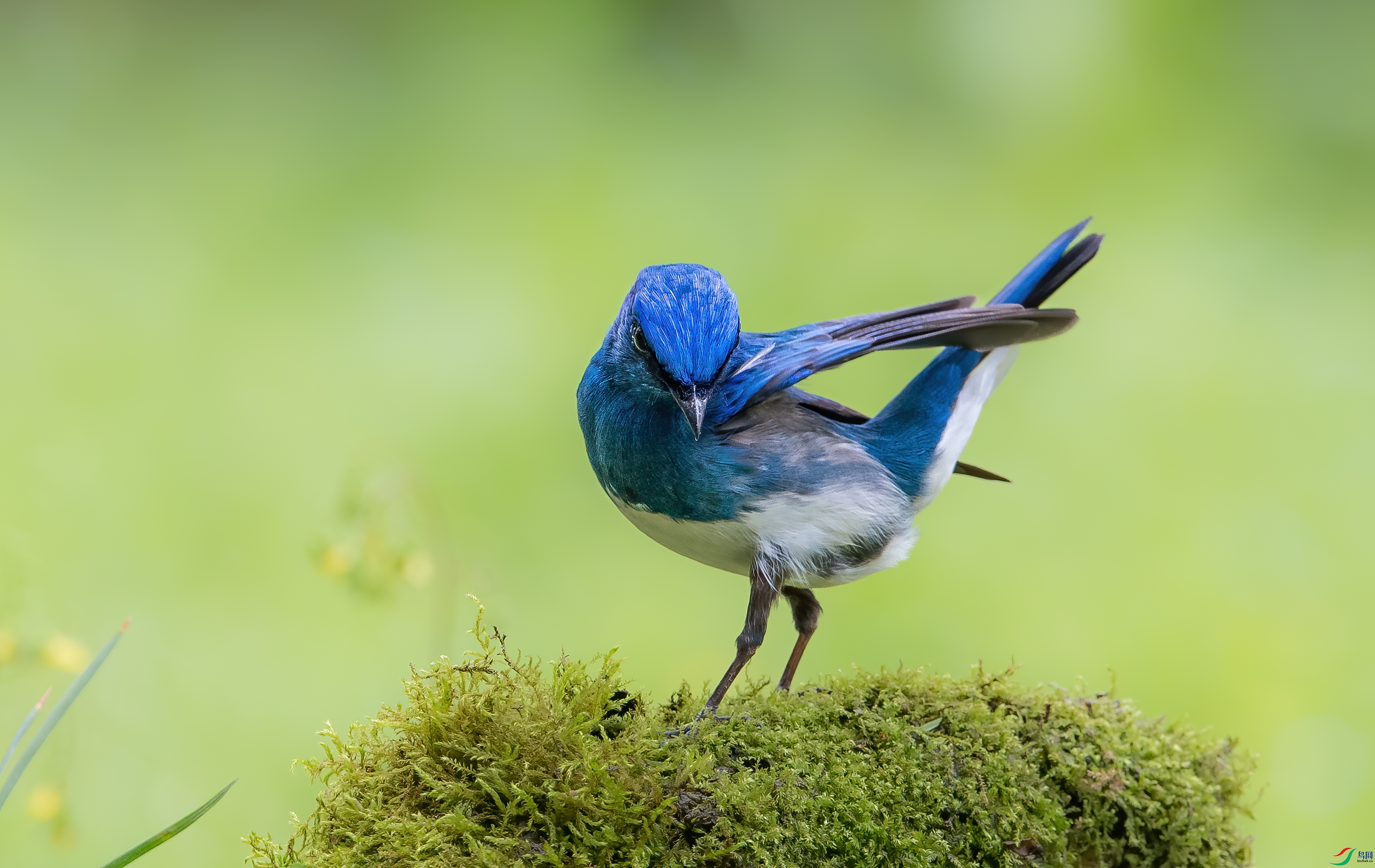 DSC_7168-1.jpg
