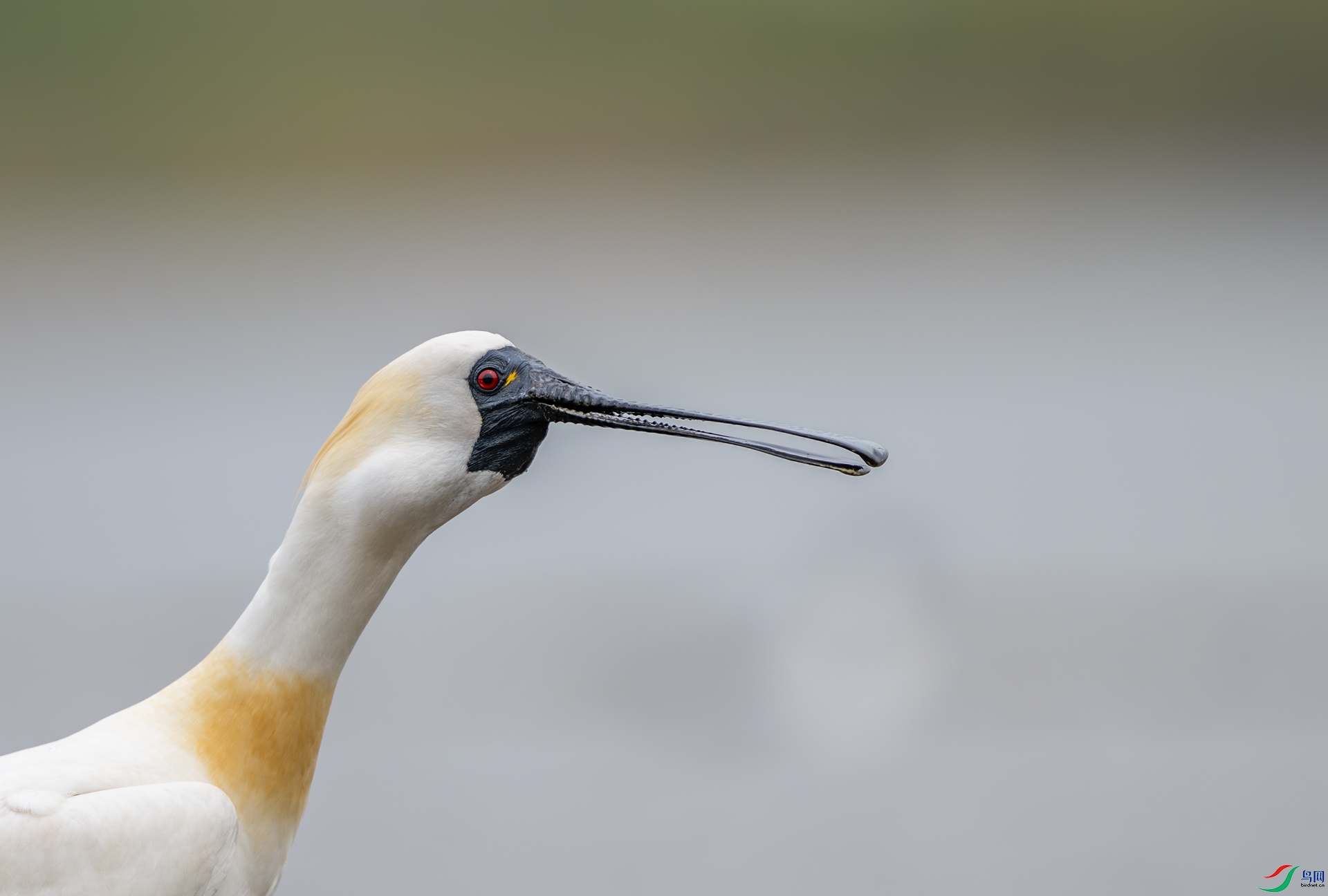 DSC_4755-1.jpg