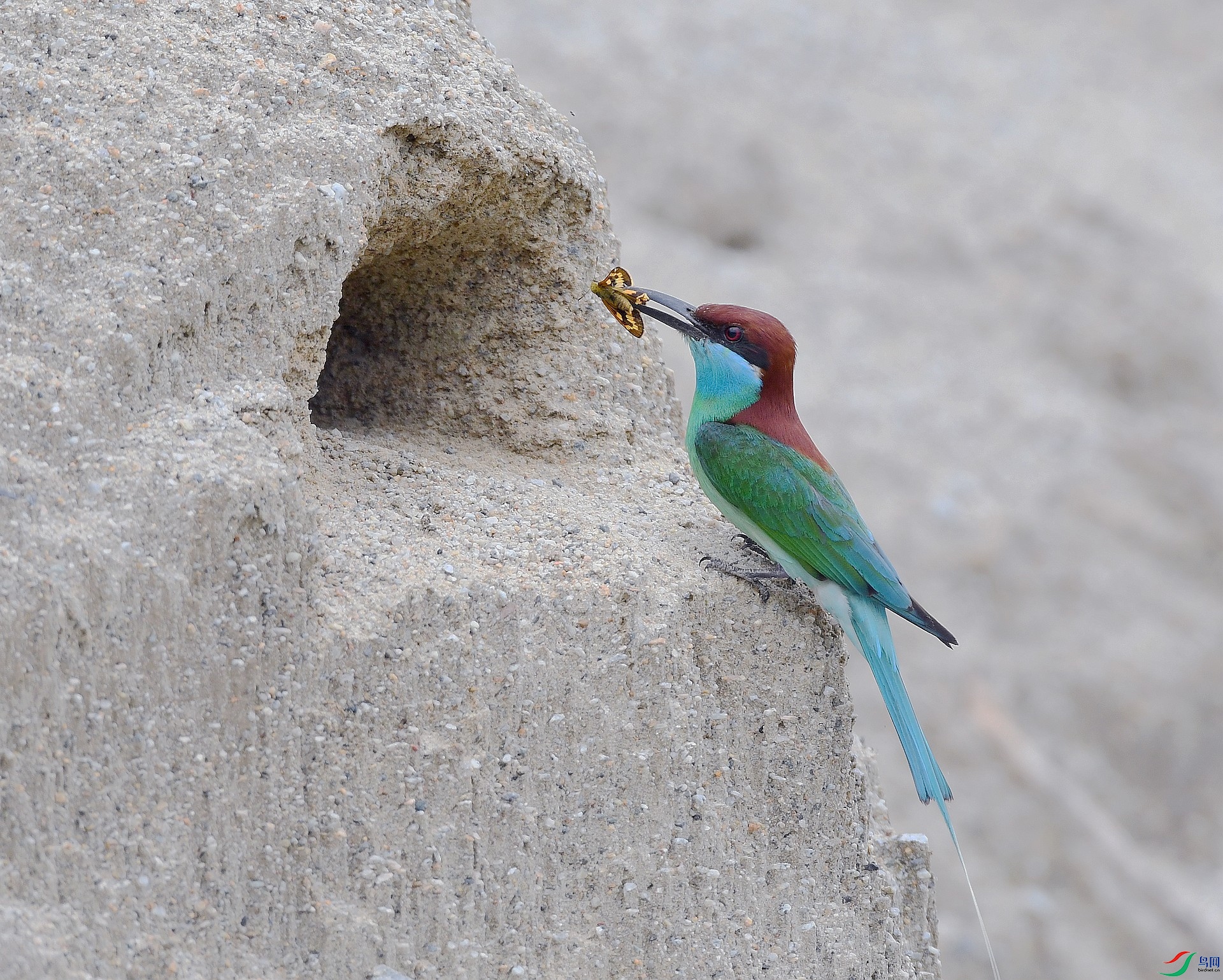 DSC_3604.jpg