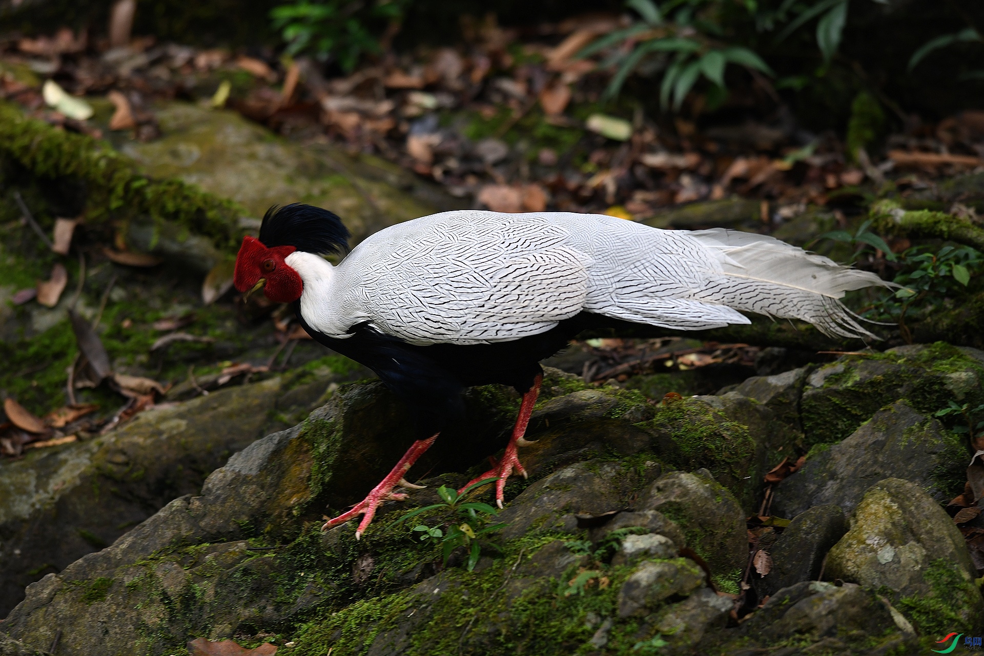 DSC_3840.jpg