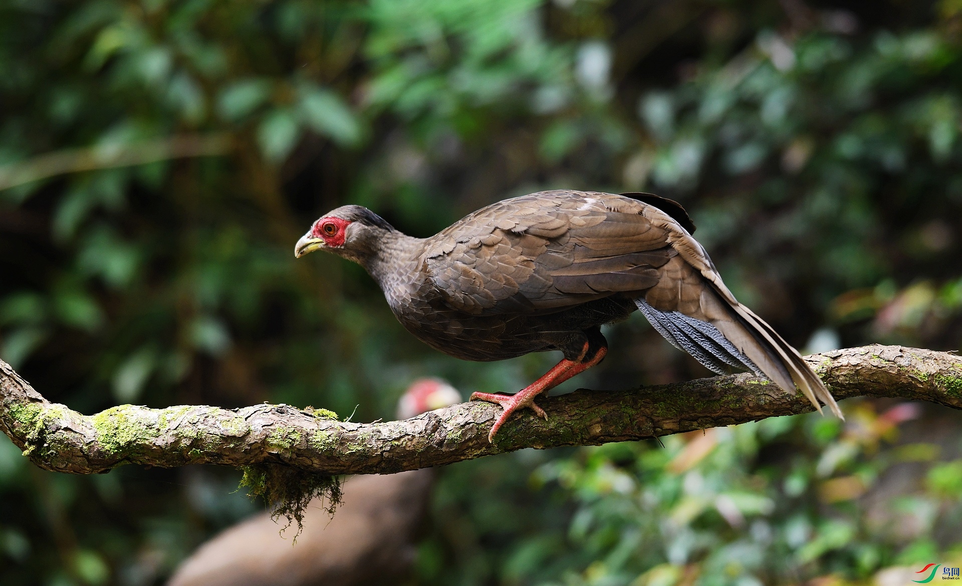 DSC_3836.jpg