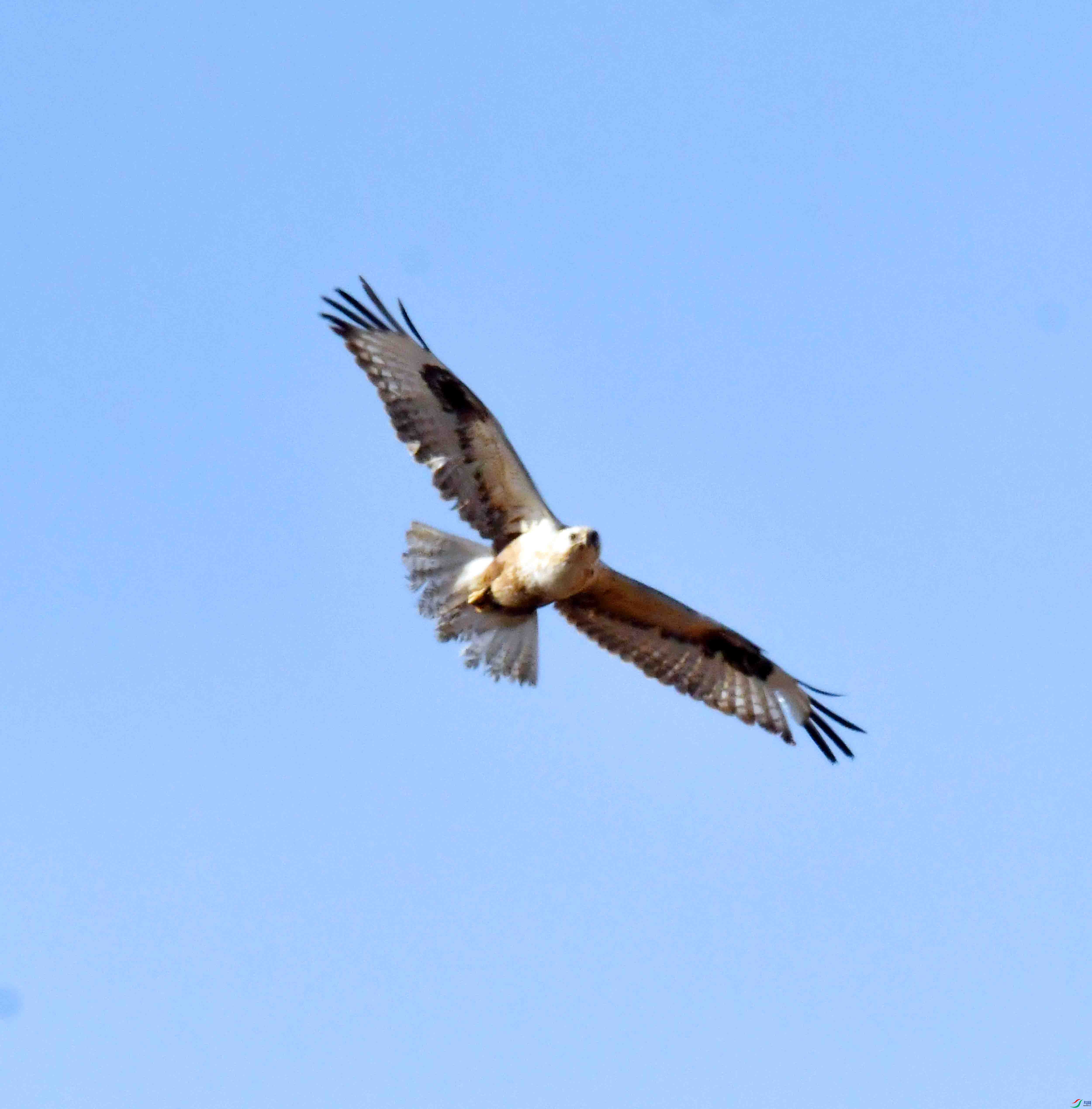 DSC_1830.JPG