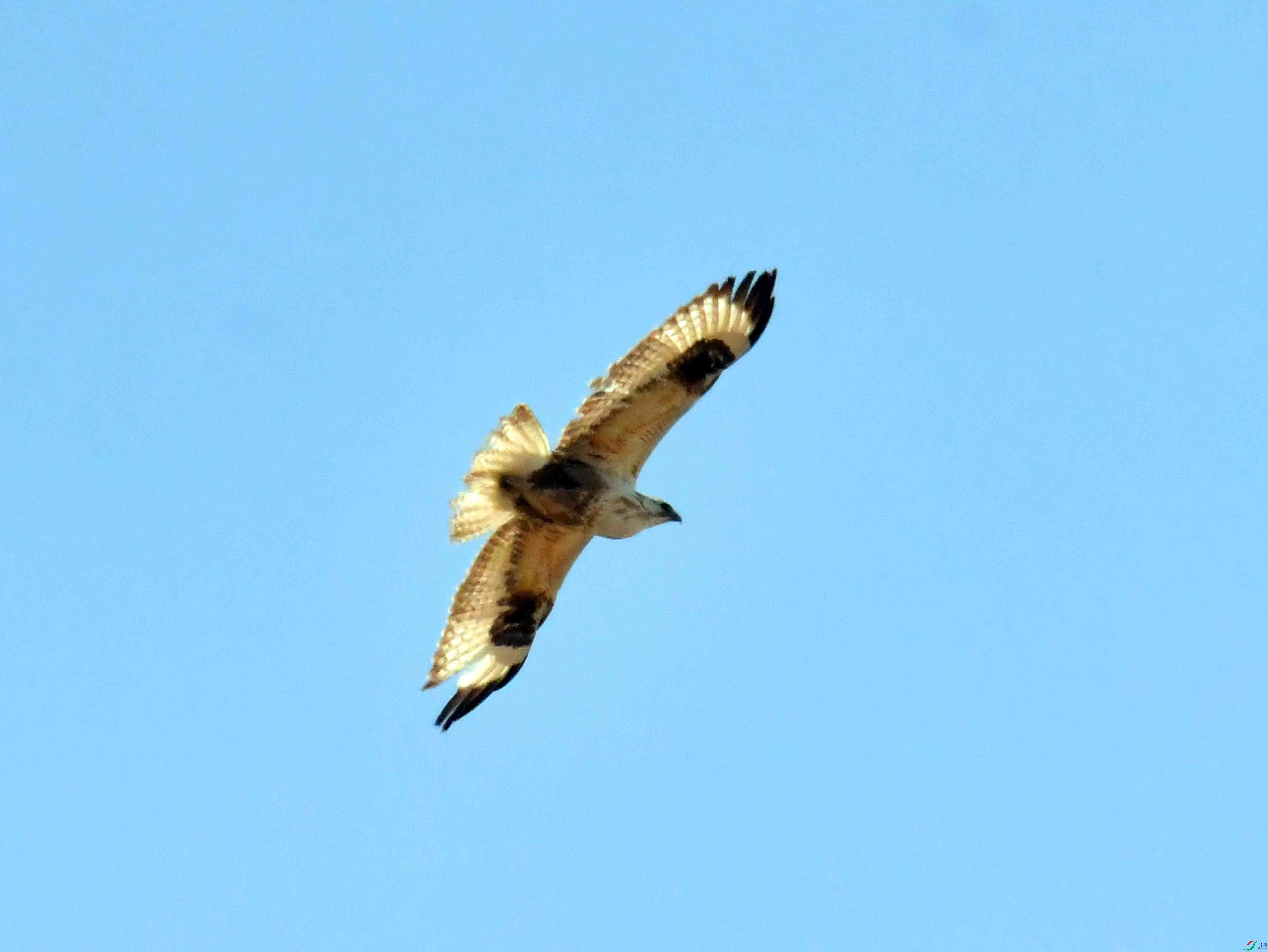 DSC_1869.JPG