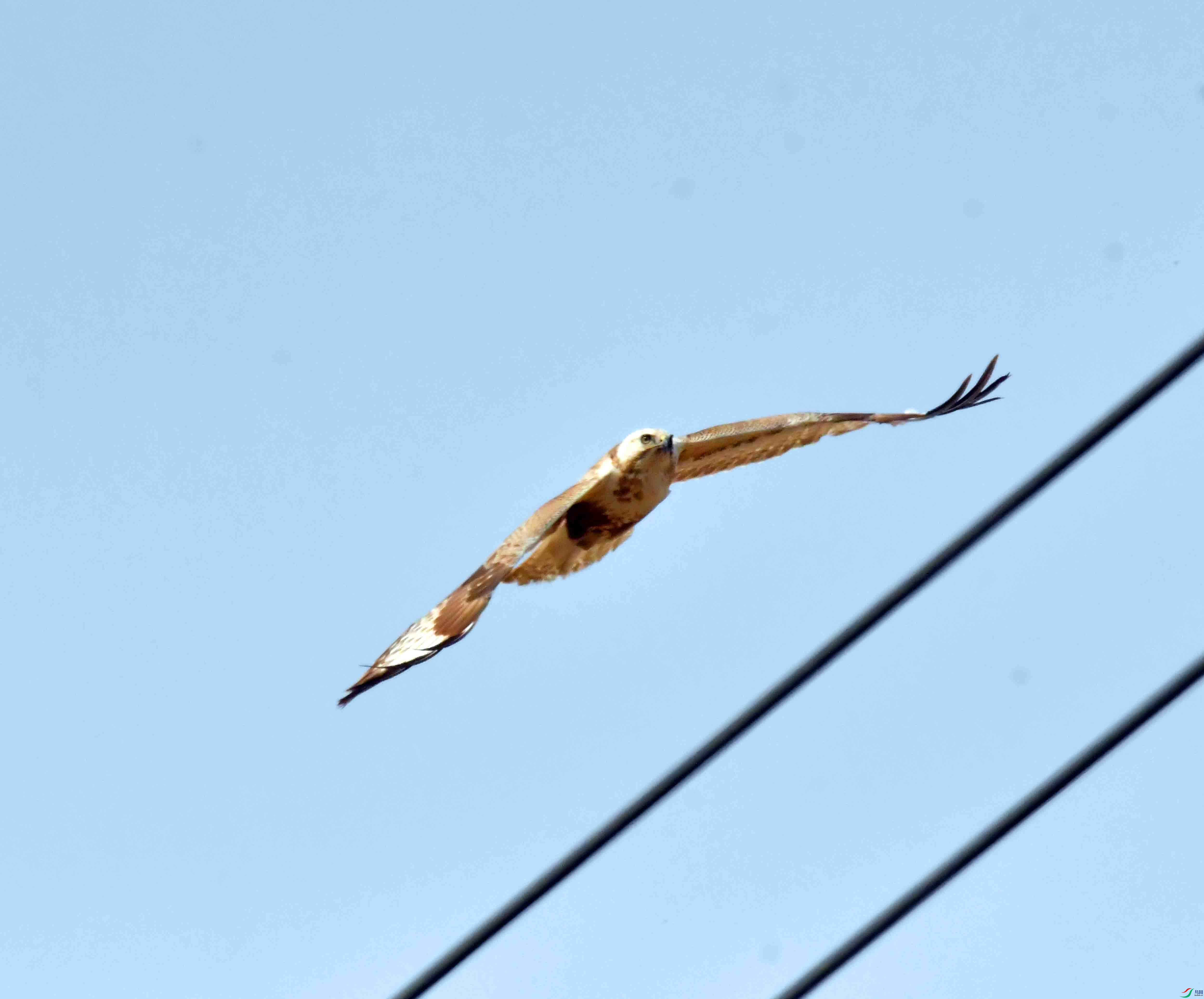 DSC_2024.JPG