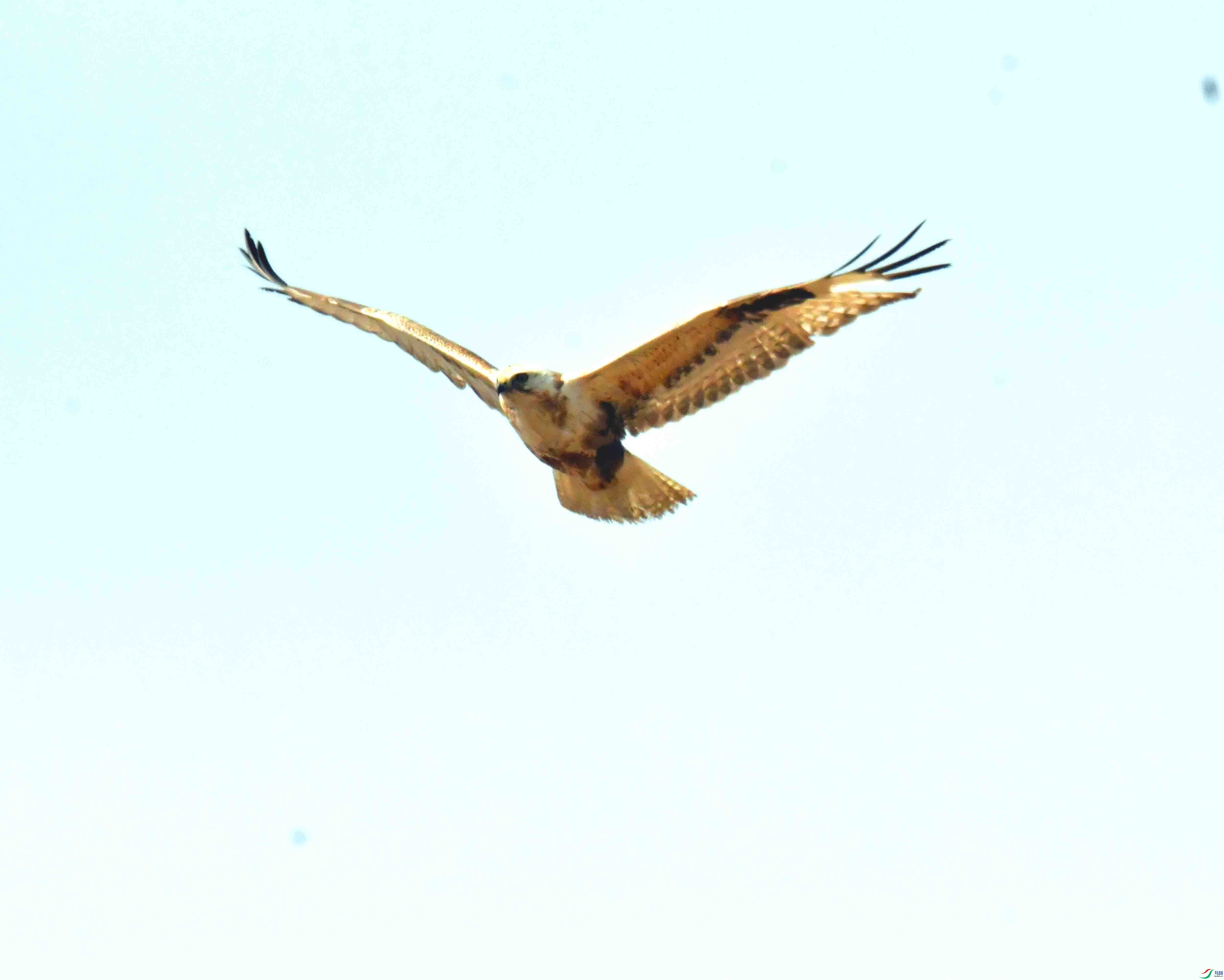 DSC_2031.JPG