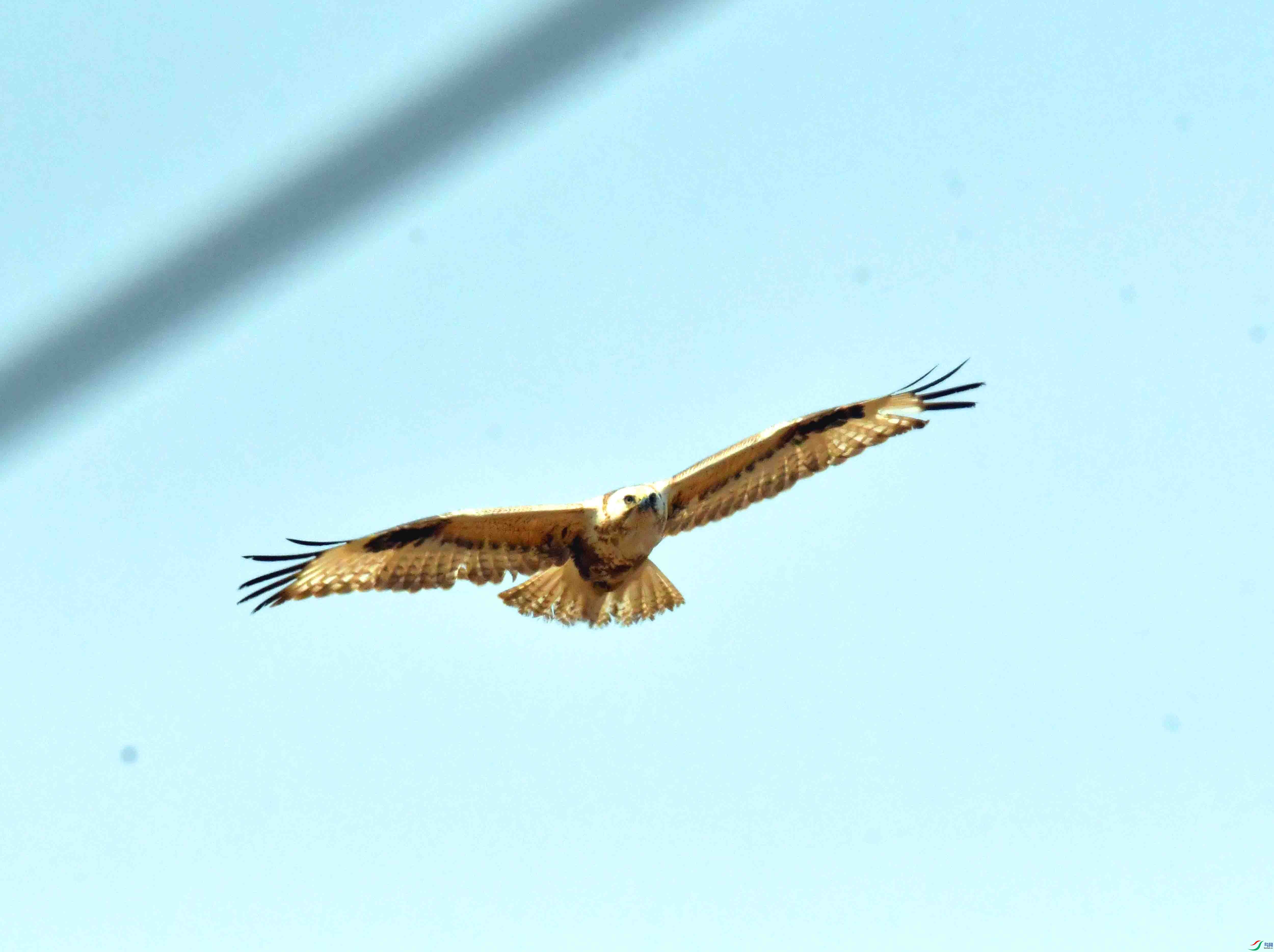 DSC_2065.JPG