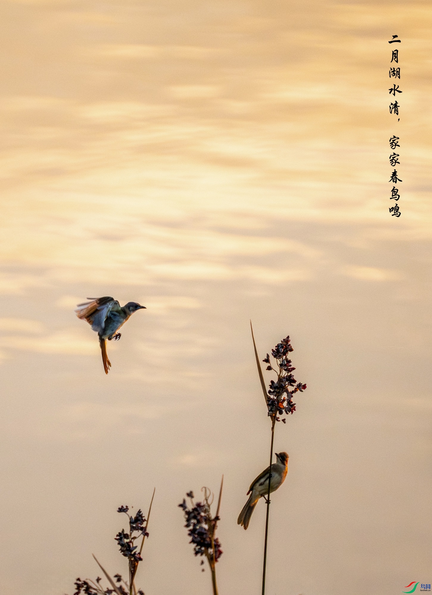 DSC_0883-����ǿ-NR_����.jpg