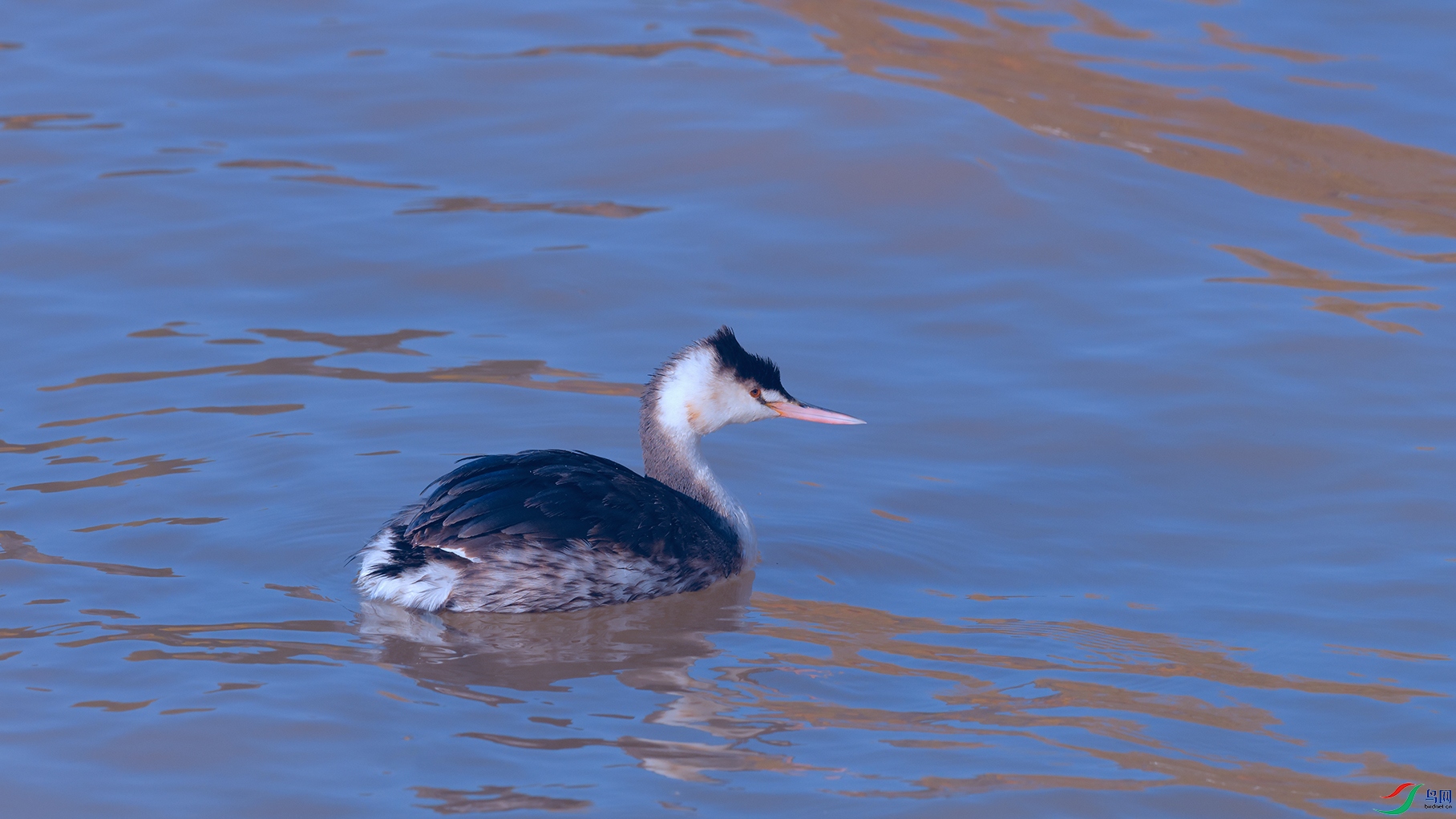 DSC_3941_DxOa.jpg