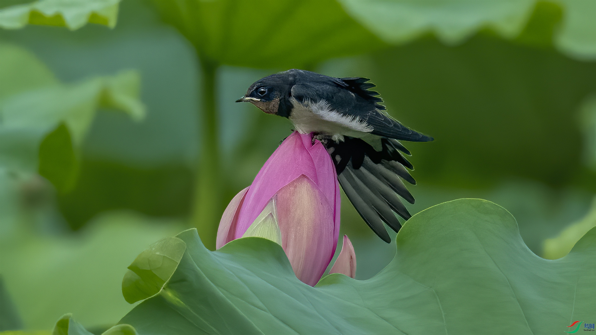 DSC_7737.jpg