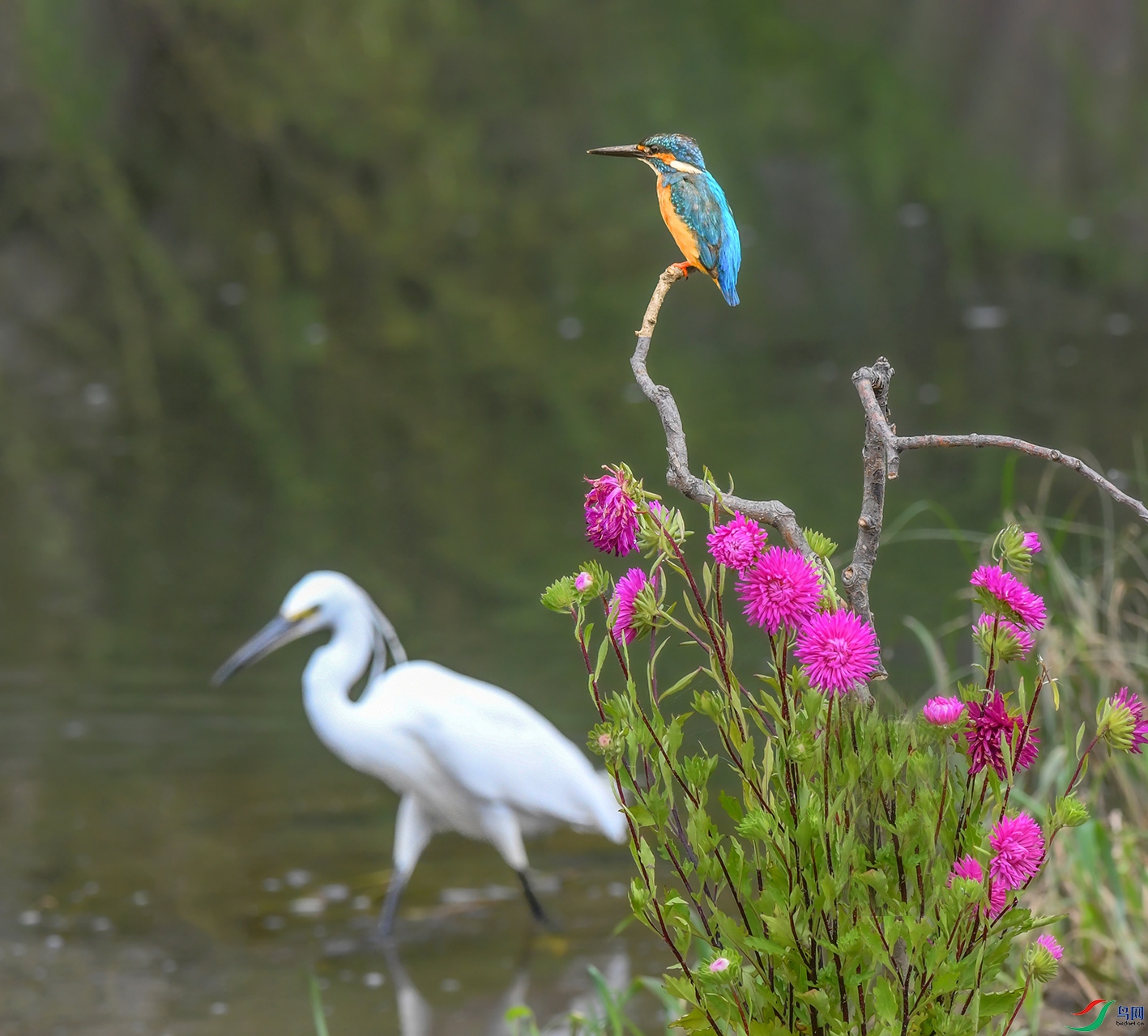 DSC_3773_��ͼ�� ���� 2.jpg