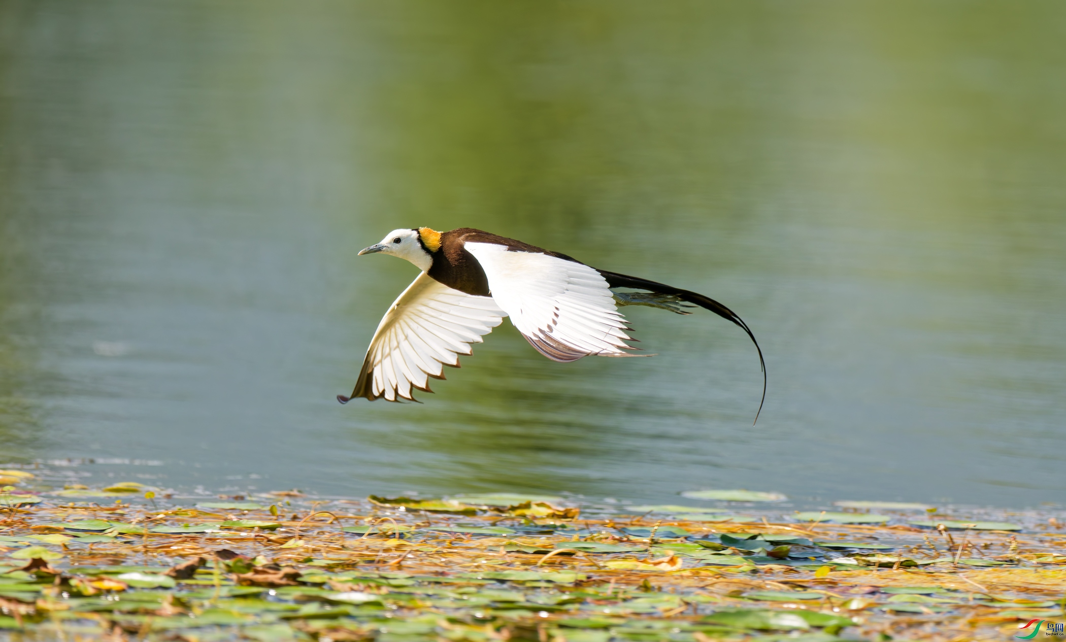 364A3262_DxO-3.jpg